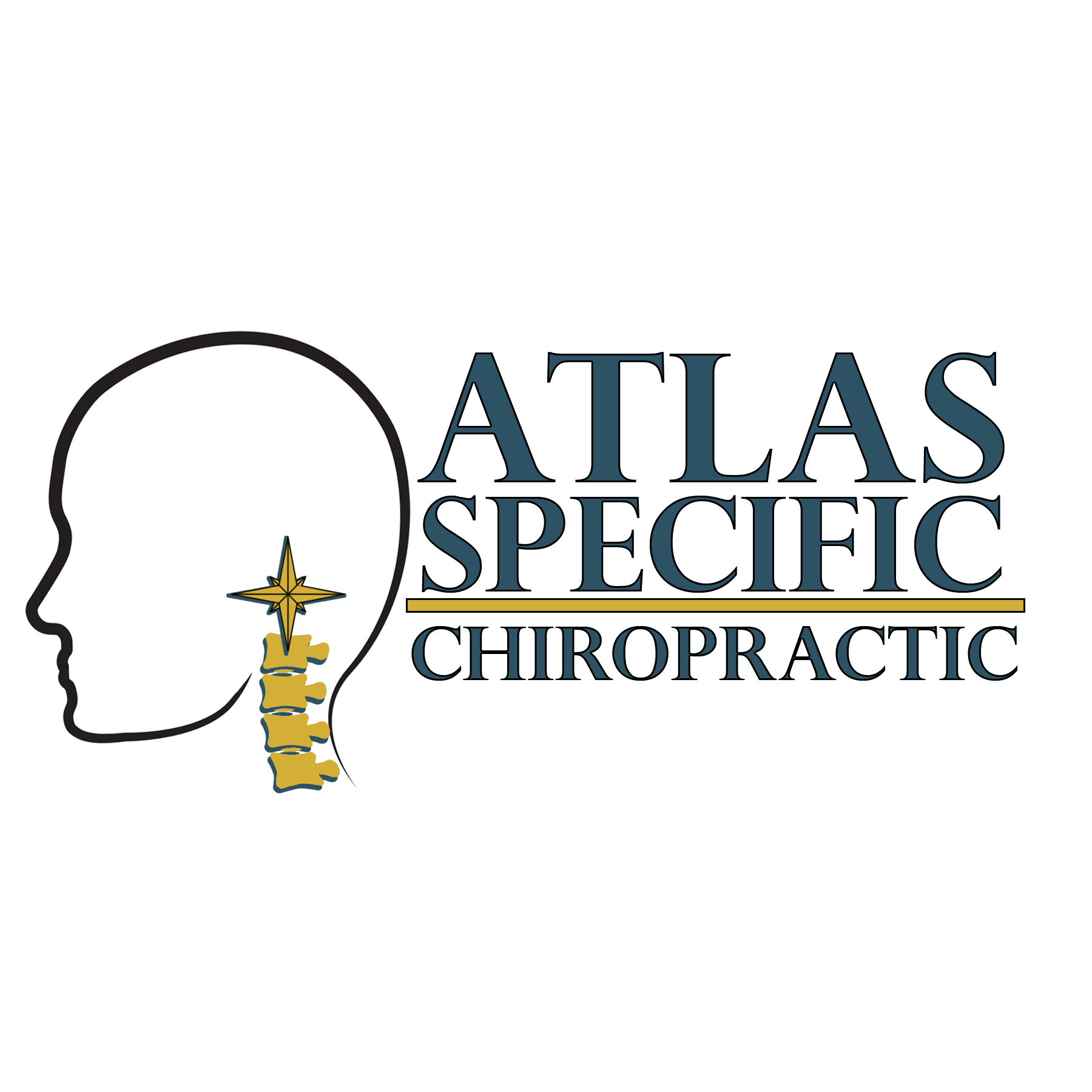 Atlas Specific Chiropractic Cedar Rapids Upper Cervical Chiropractor