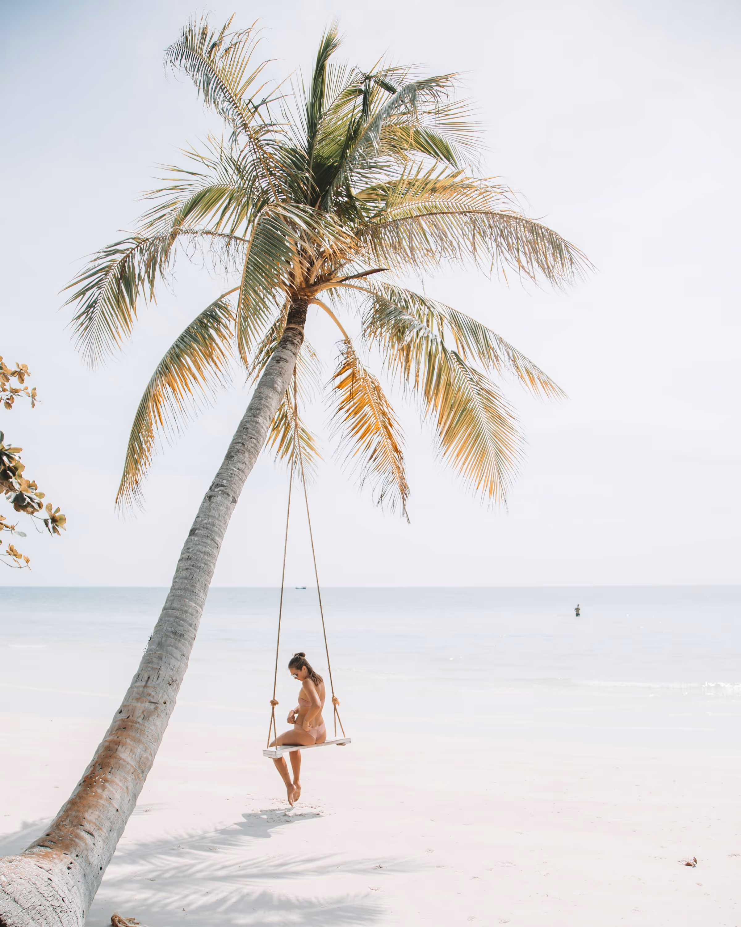 Woman in a pink bikini sitting on a swing attached to a leaning palm tree on a white sandy beach with calm ocean in the background.
