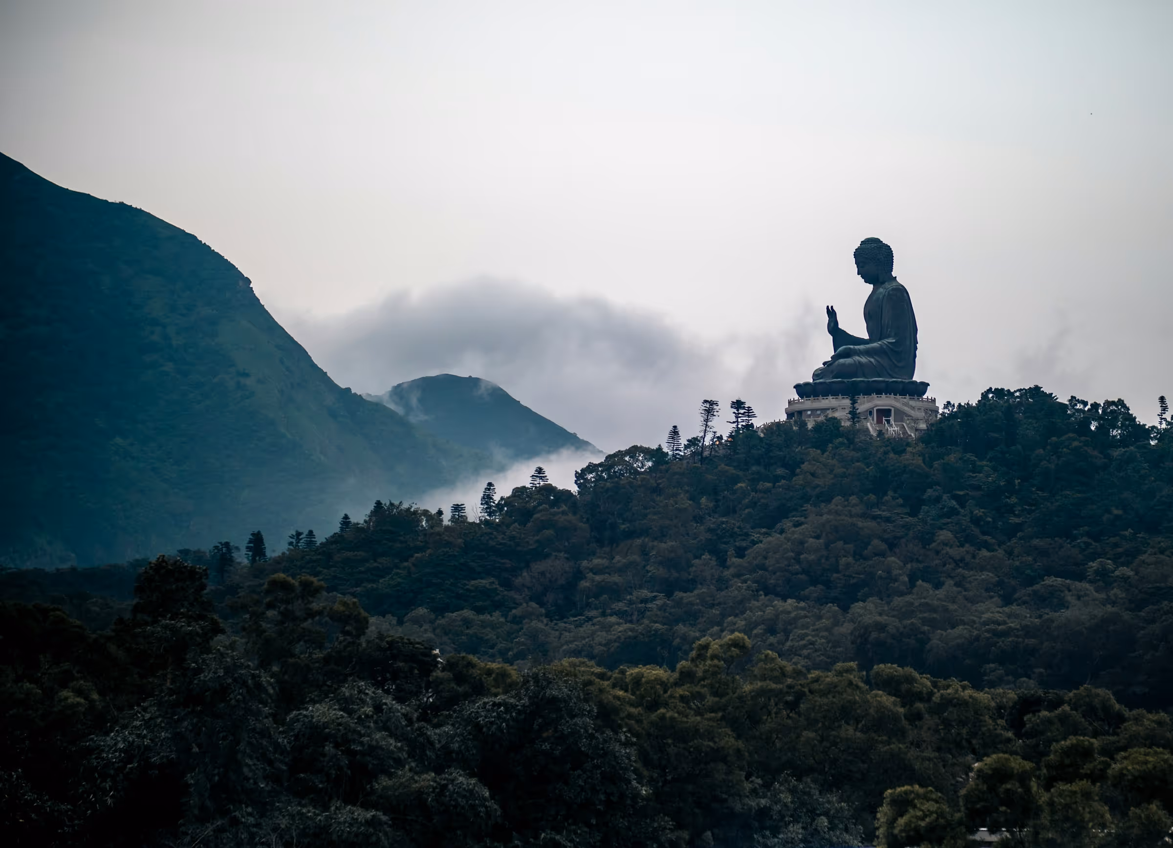 Large Buddha statue seated on a forested hill with misty mountains in the background.