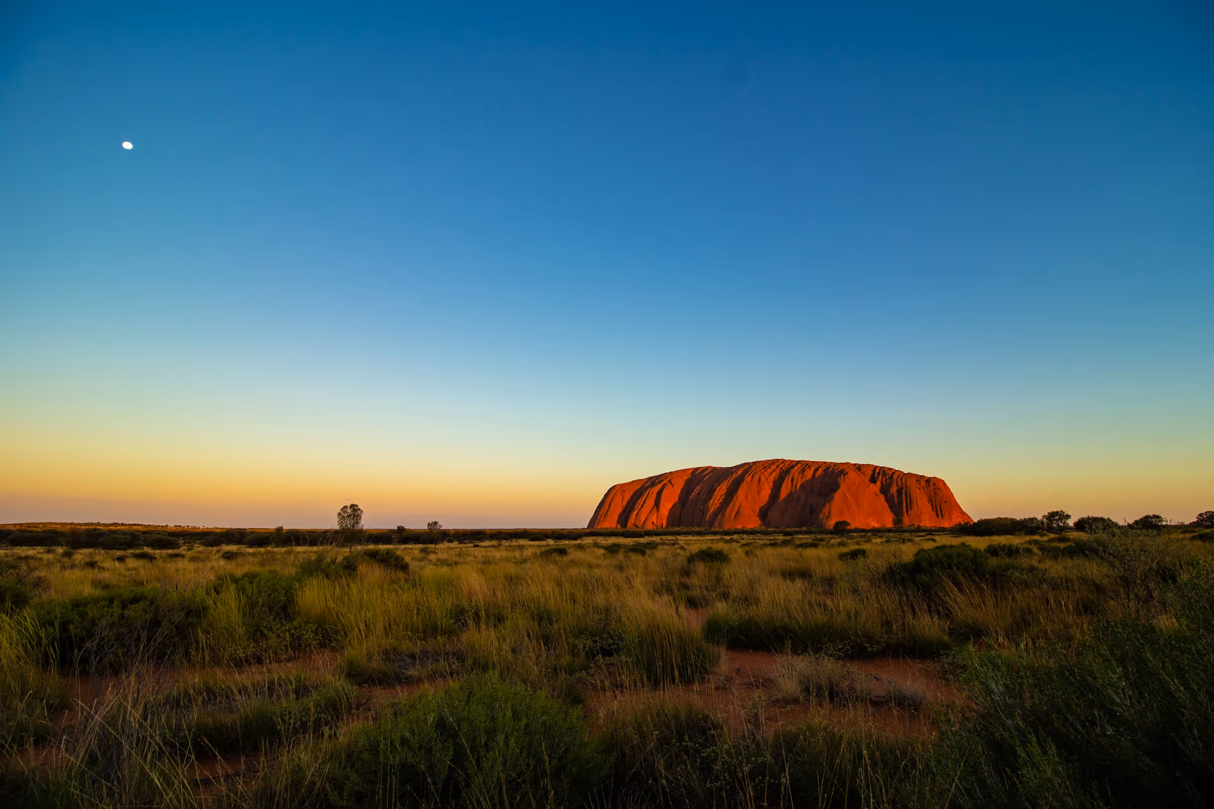Uluru rock formation glowing red at sunset with grassy outback and clear sky.