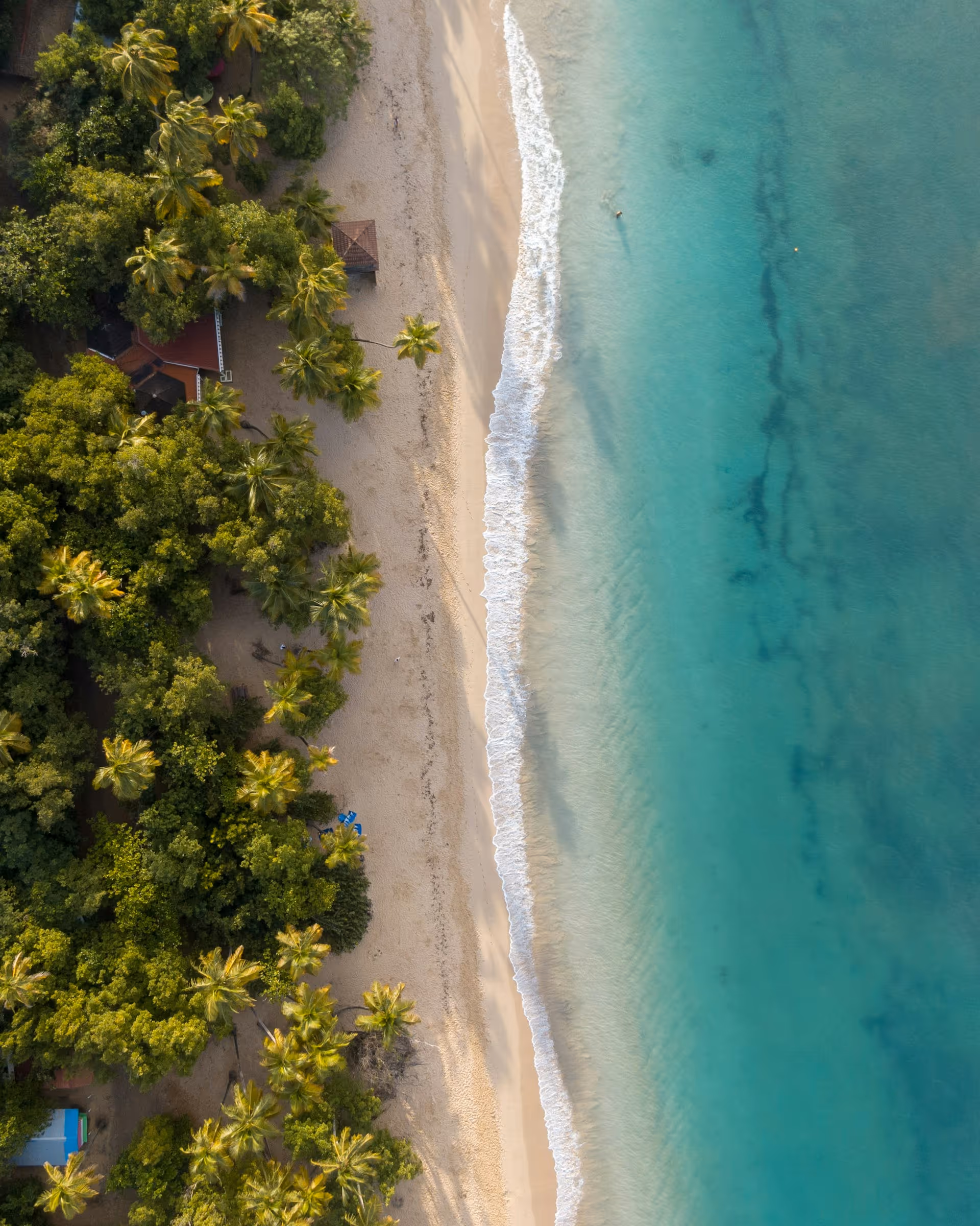 Aerial view of a tropical beach with turquoise water, gentle waves, sandy shore, and dense green palm trees along the coast.