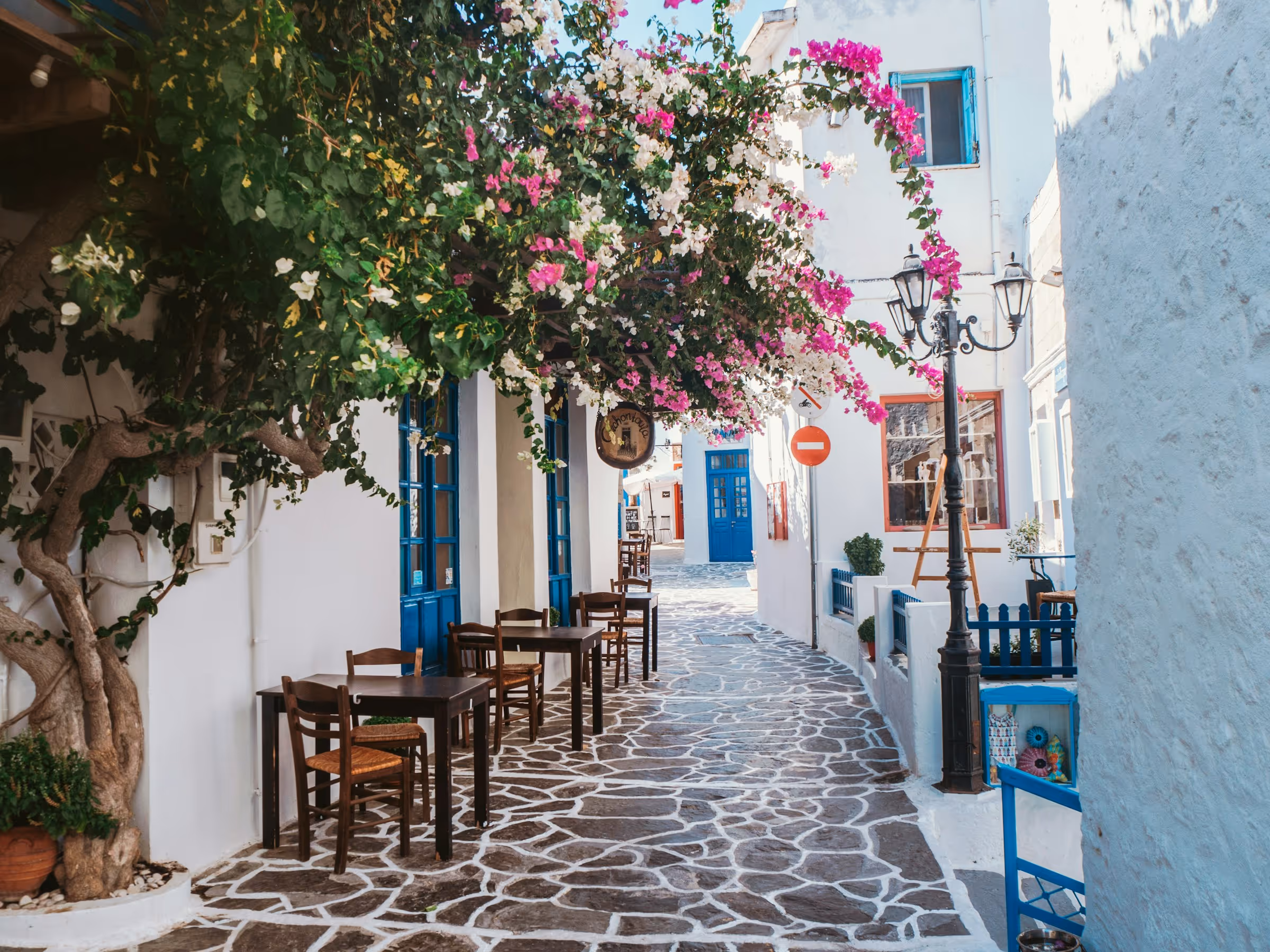 Narrow cobblestone street with outdoor wooden tables and chairs, white buildings with blue doors, and flowering tree branches overhead.