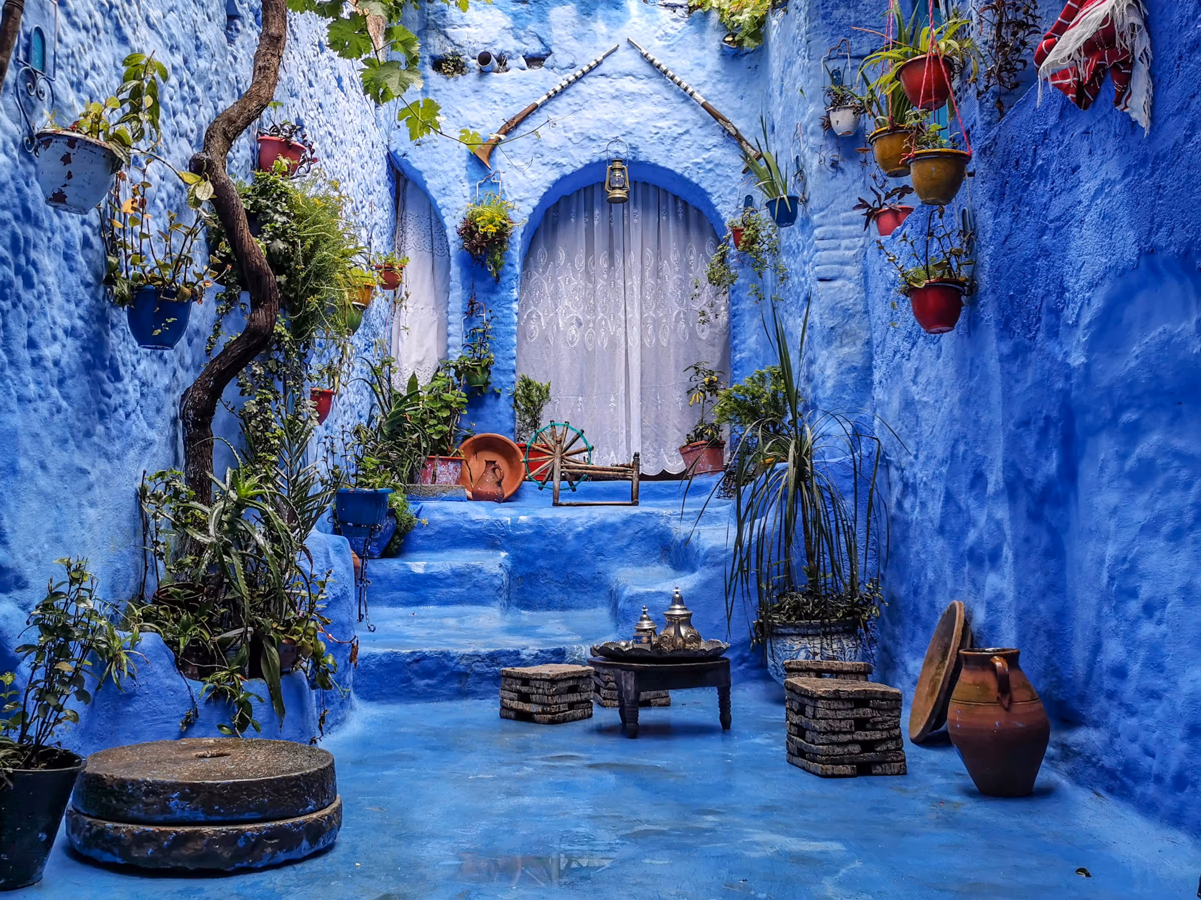 Cozy blue courtyard decorated with numerous potted plants, rustic wooden furniture, and traditional clay pots.