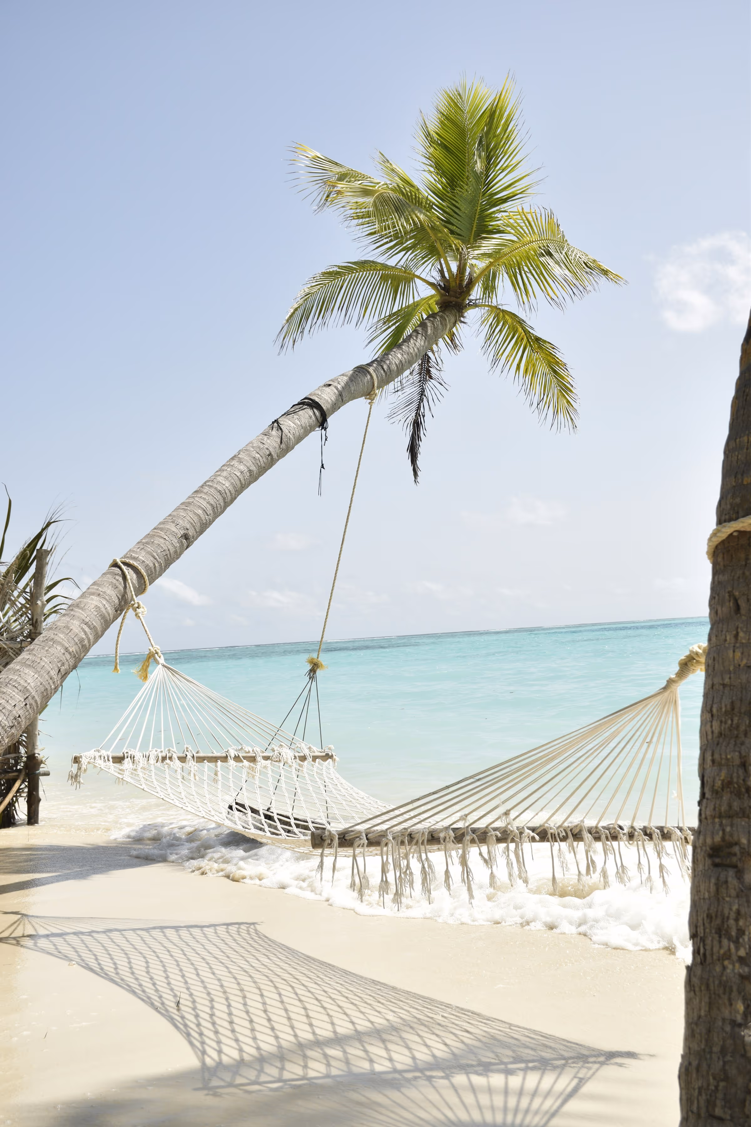 White hammock tied between two palm trees on a sandy beach with clear turquoise ocean water in the background.