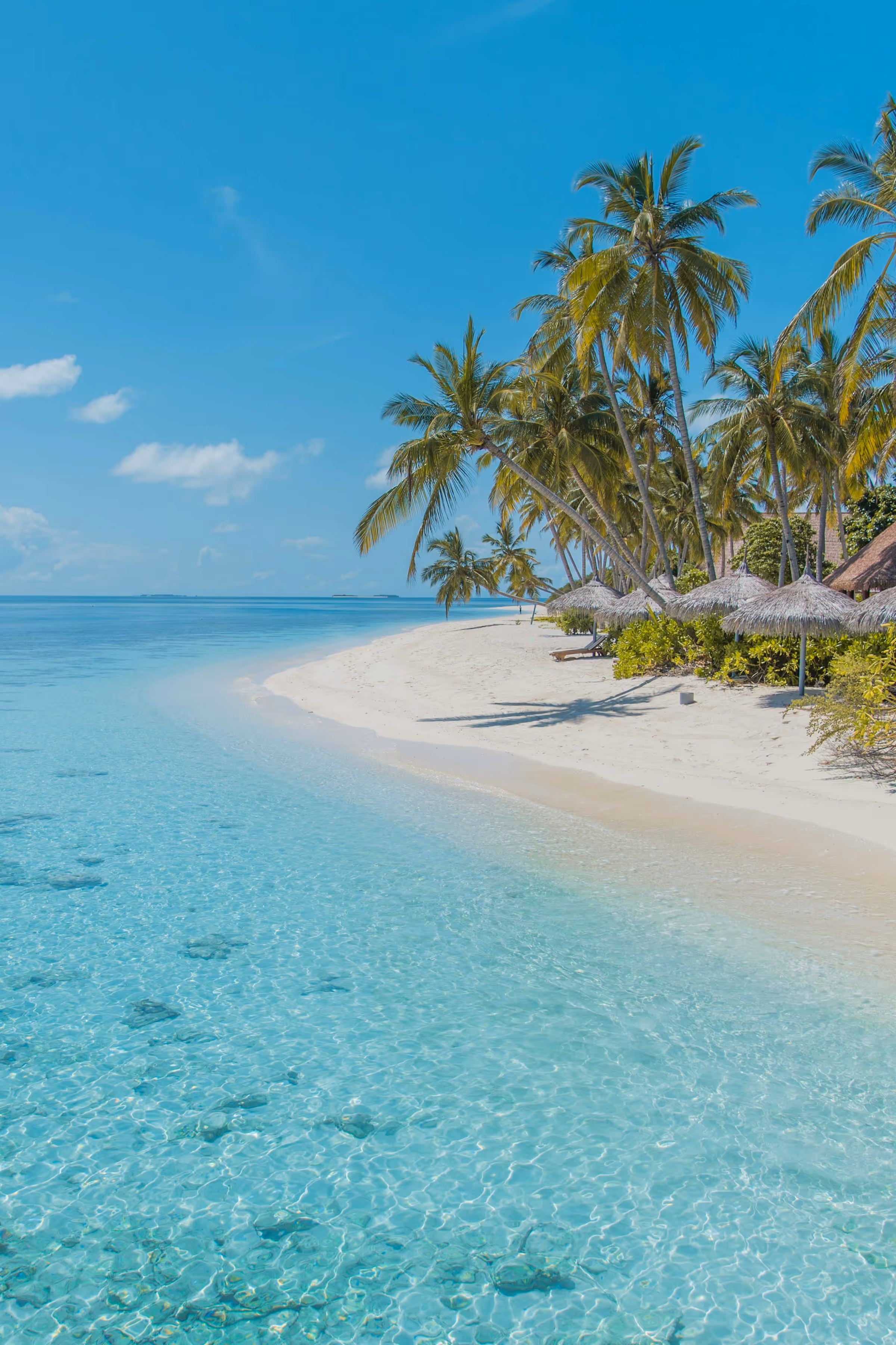 Clear turquoise ocean water beside a white sandy beach lined with palm trees and thatched umbrellas under a blue sky.