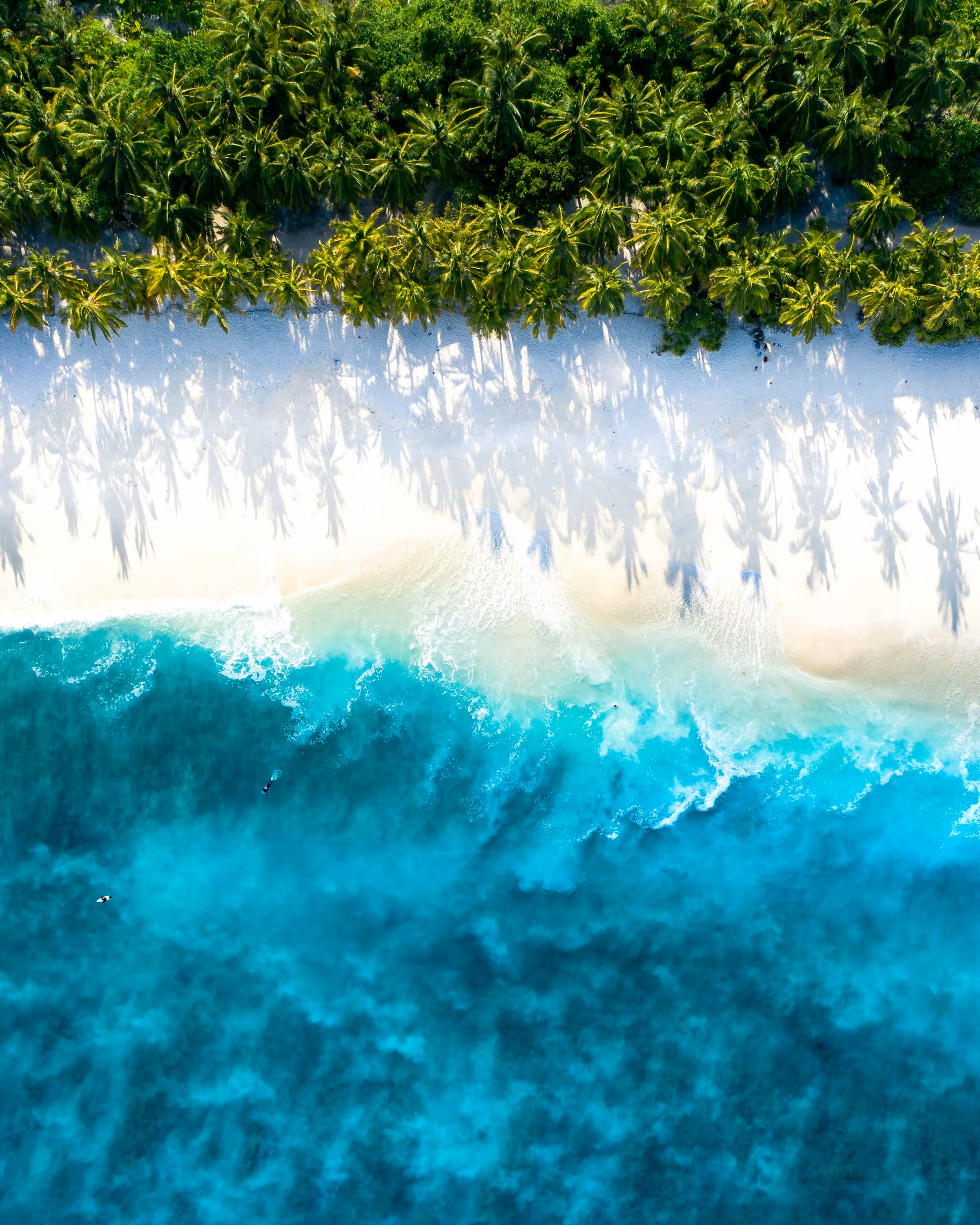 Aerial view of turquoise ocean waves crashing onto a white sandy beach lined with dense green palm trees casting shadows.