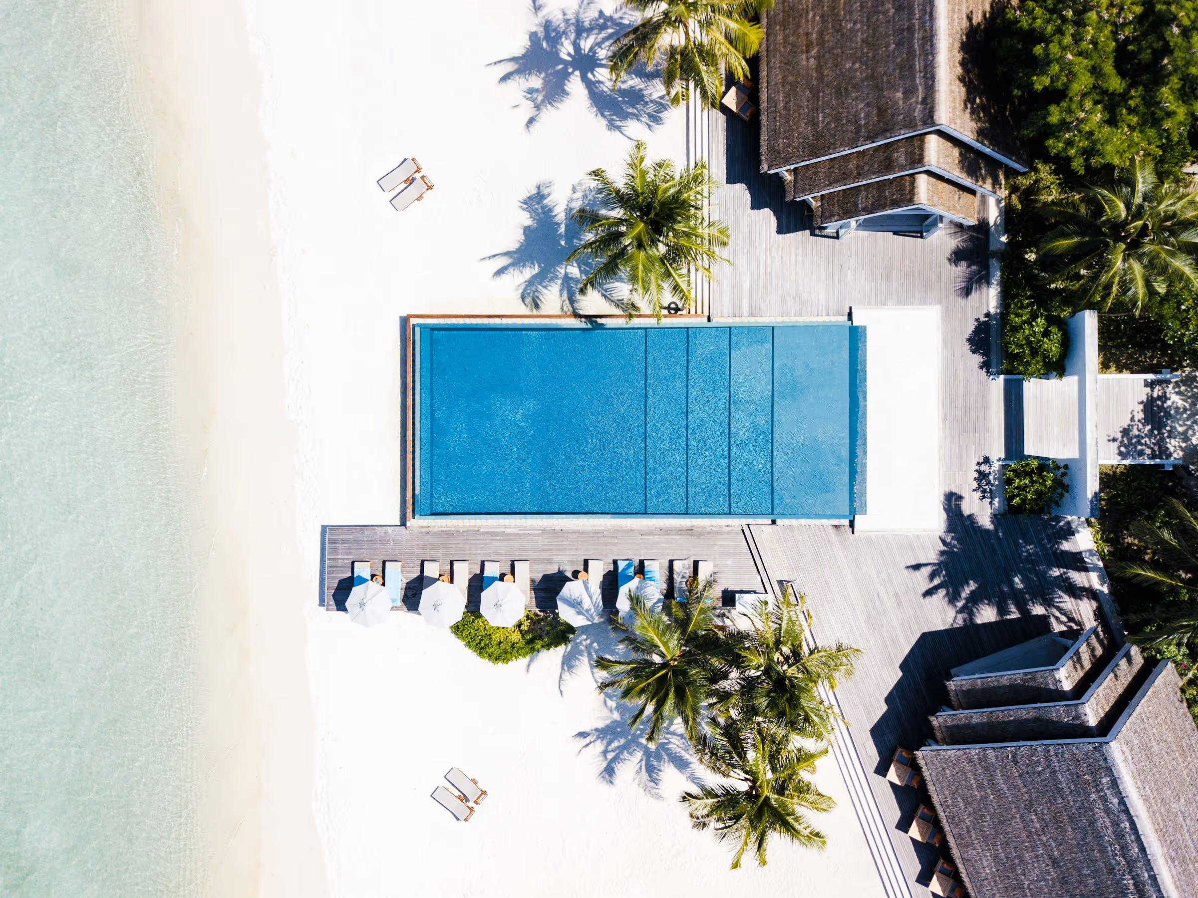 Aerial view of a blue rectangular pool surrounded by sun loungers with umbrellas on white sand near a beach and tropical greenery.