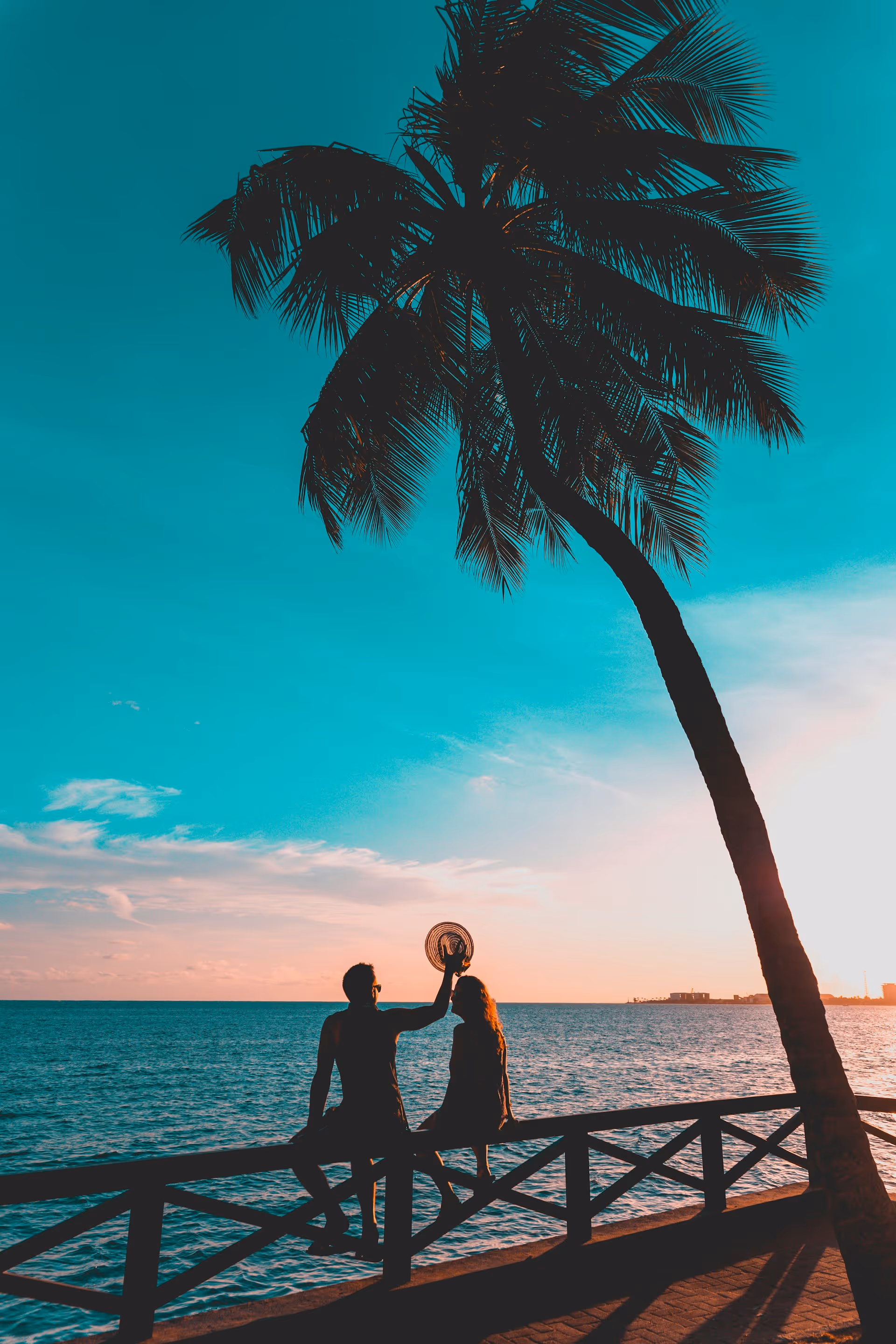 Silhouettes of a couple sitting on a wooden railing by the sea at sunset with a palm tree overhead.