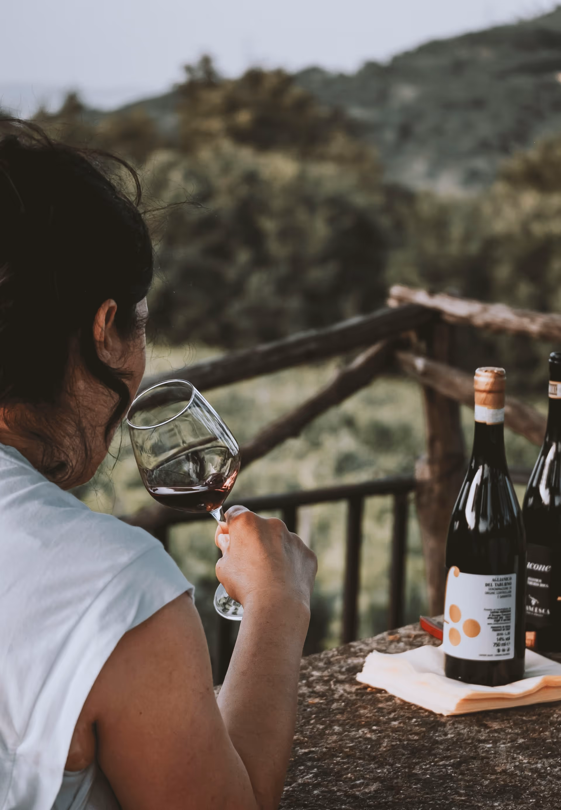 Person holding a glass of red wine while sitting at an outdoor table with two wine bottles on a cloth, overlooking a blurred green landscape.