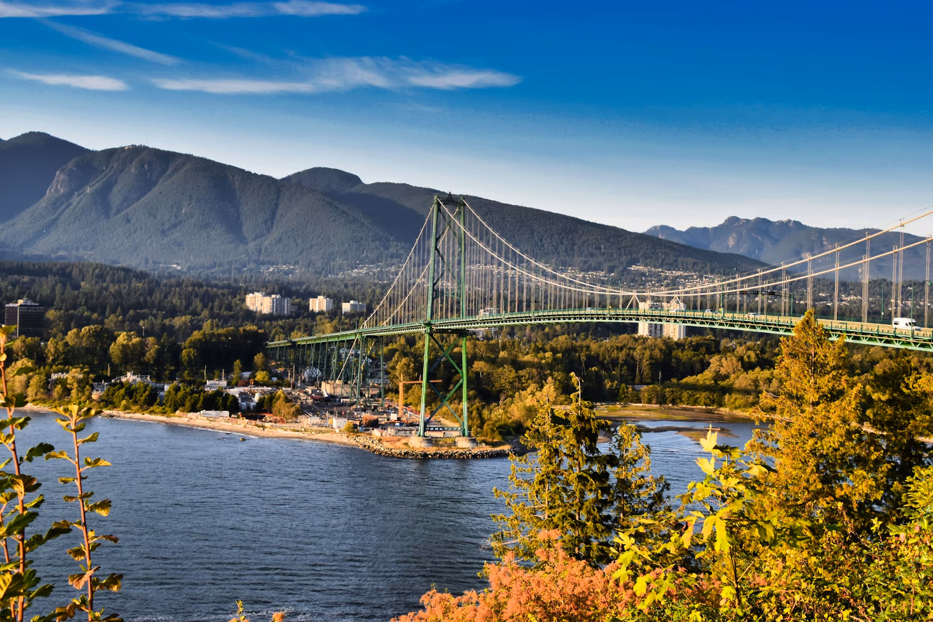 Green suspension bridge spanning over water with forested shoreline and mountains in the background under a blue sky.