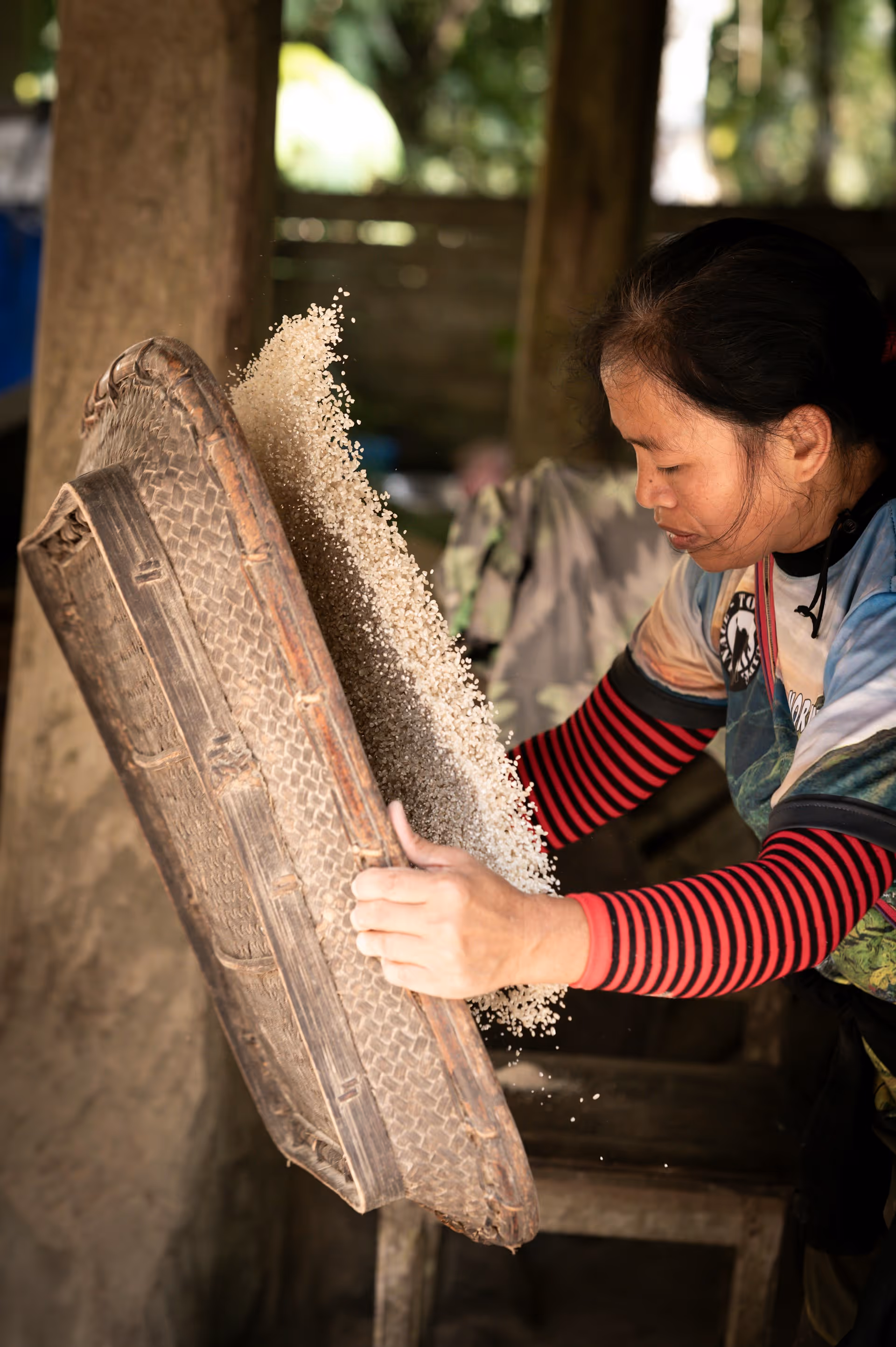 Woman sifting rice grains using a traditional woven basket in a rustic setting.