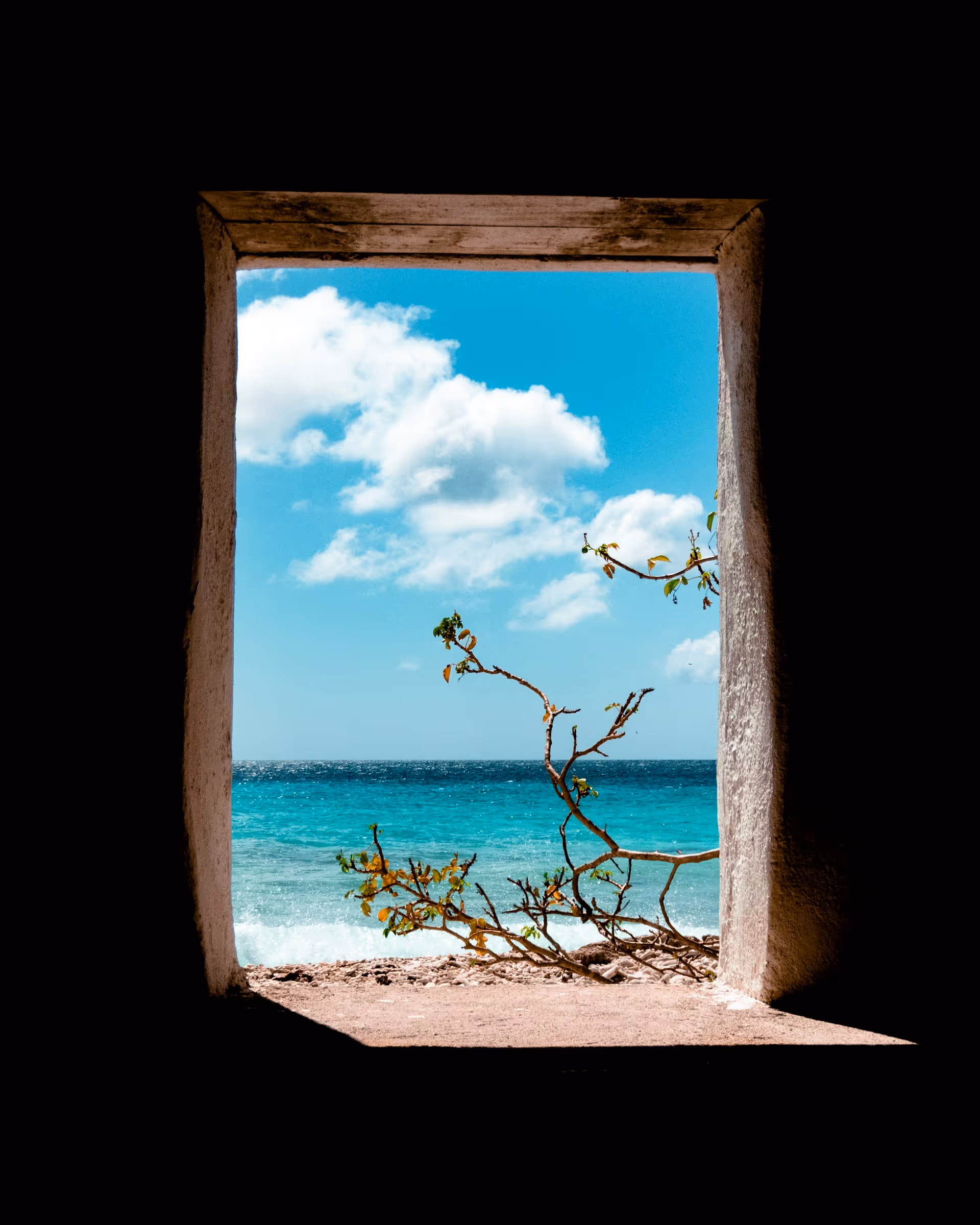 View of a blue ocean and cloudy sky framed by a rustic stone window with a branch extending into the frame.