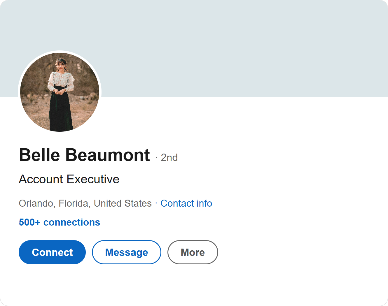 Belle’s LinkedIn profile has no cover image, a distant portrait and the headline Account Executive without Walt