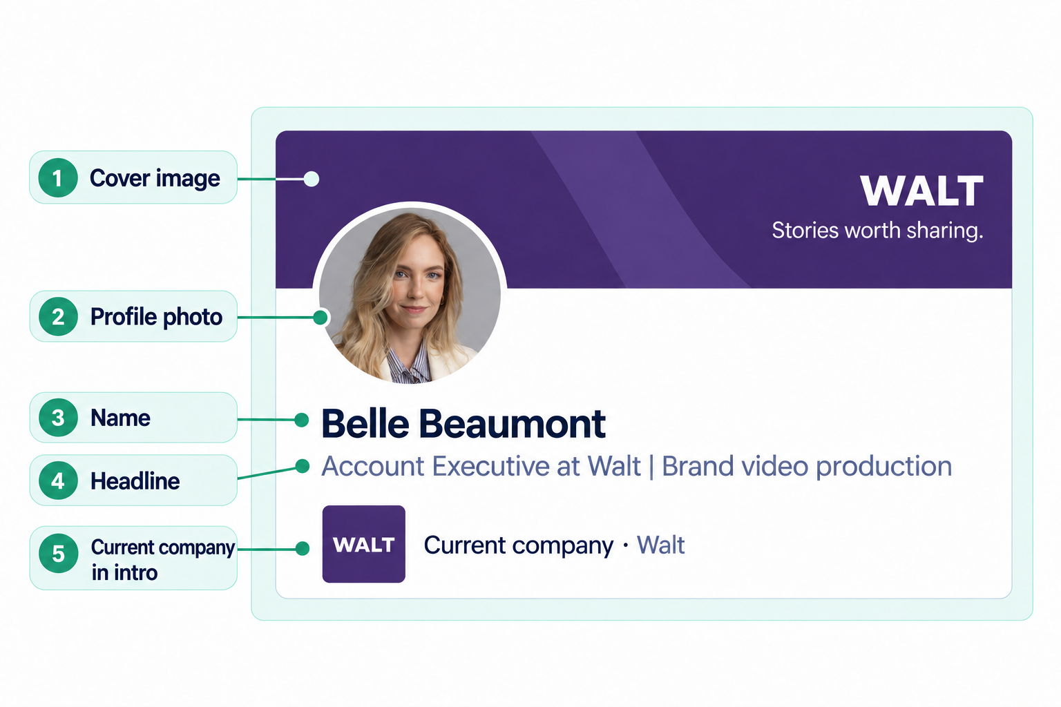 Illustrated LinkedIn profile introduction for Belle Beaumont at Walt, with callouts for the cover image, profile photo, name, headline, and current company.