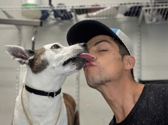 A small white dog licking Marc Groomer nose who is wearing a white and blue hat with and black t-shirt