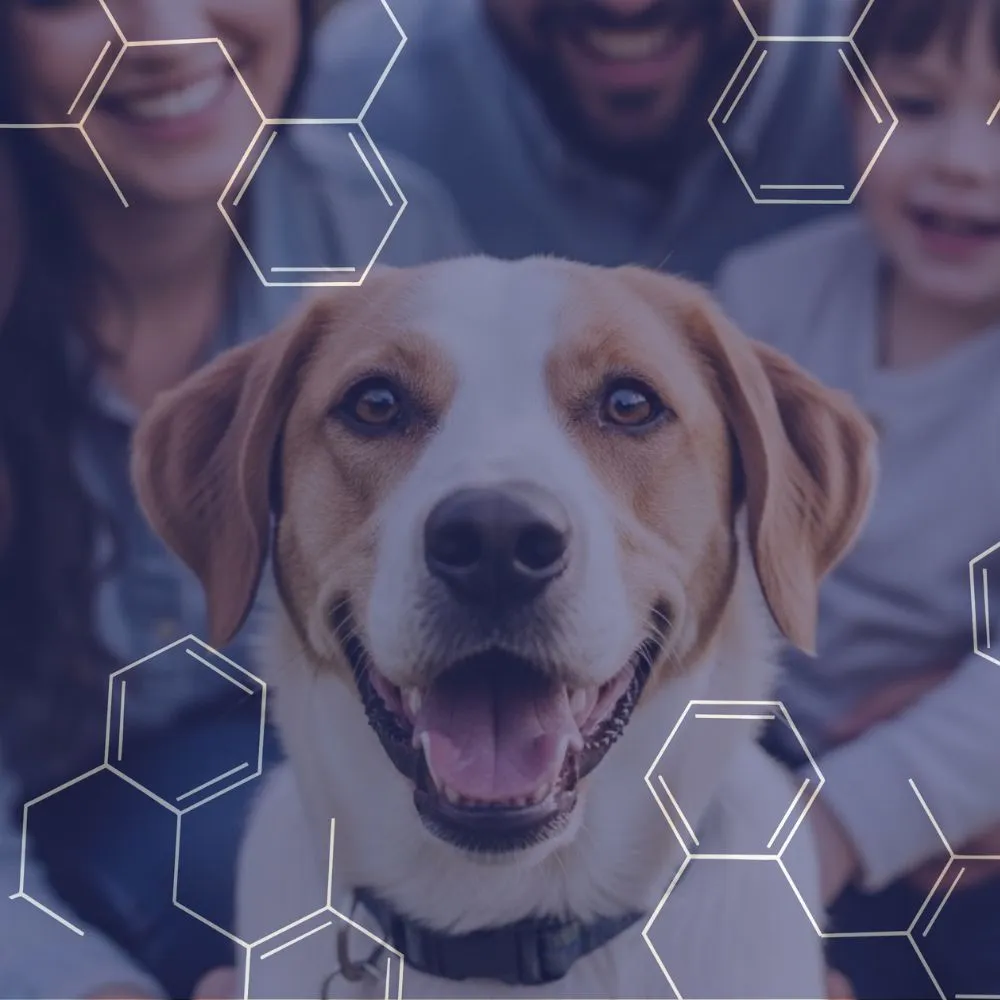 Young child hugging a calm golden retriever inside a home with hexagonal molecular patterns overlay.