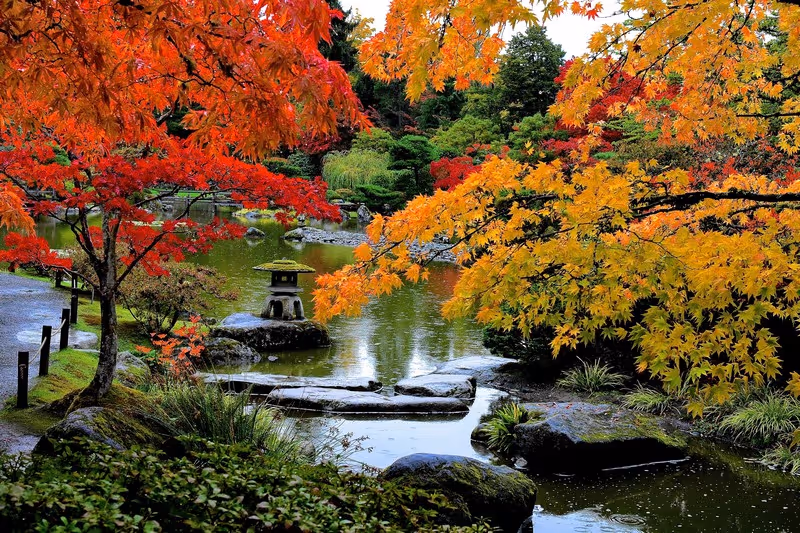Japanese garden with colorful red and orange maple trees by a pond with stone lantern and stepping stones.