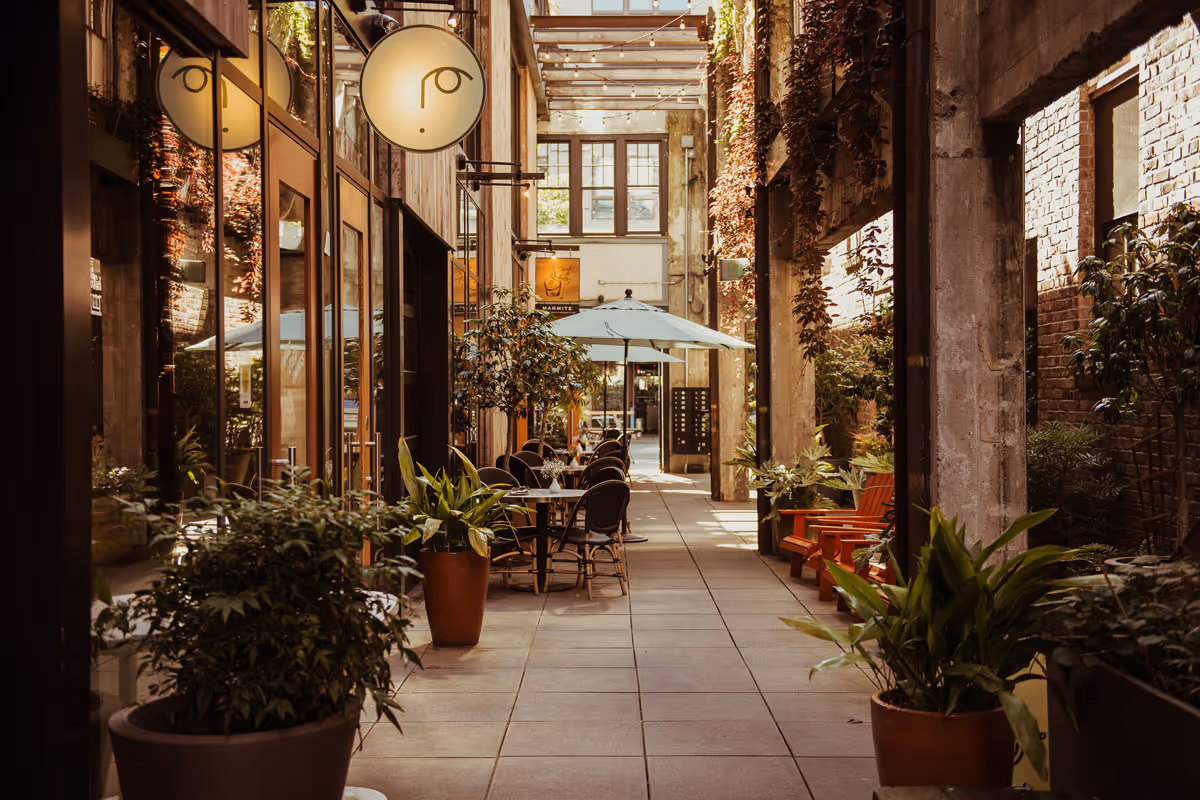 Sunlit alleyway with outdoor cafe tables, chairs, potted plants, and hanging vines between buildings.