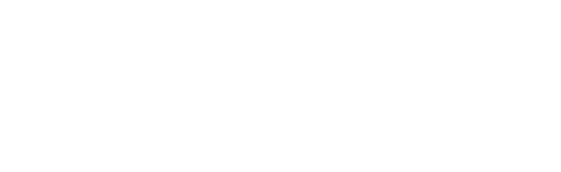 Novos Logo