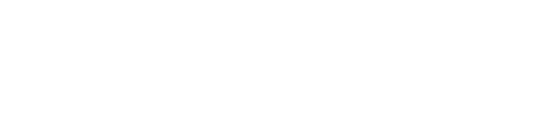APU logo in white text on a transparent background.