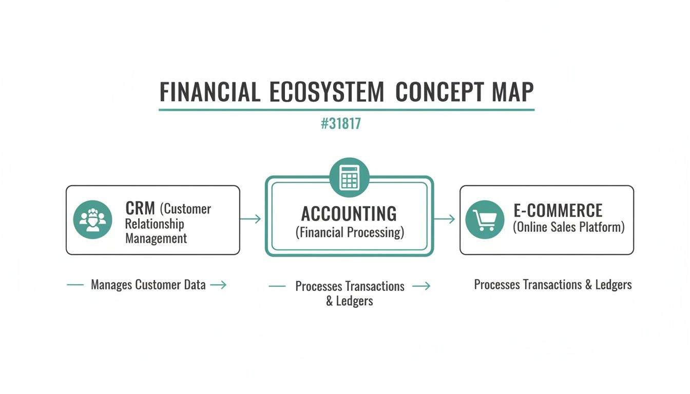 A financial ecosystem concept map showing CRM, Accounting, and E-commerce processes.