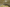 header blog