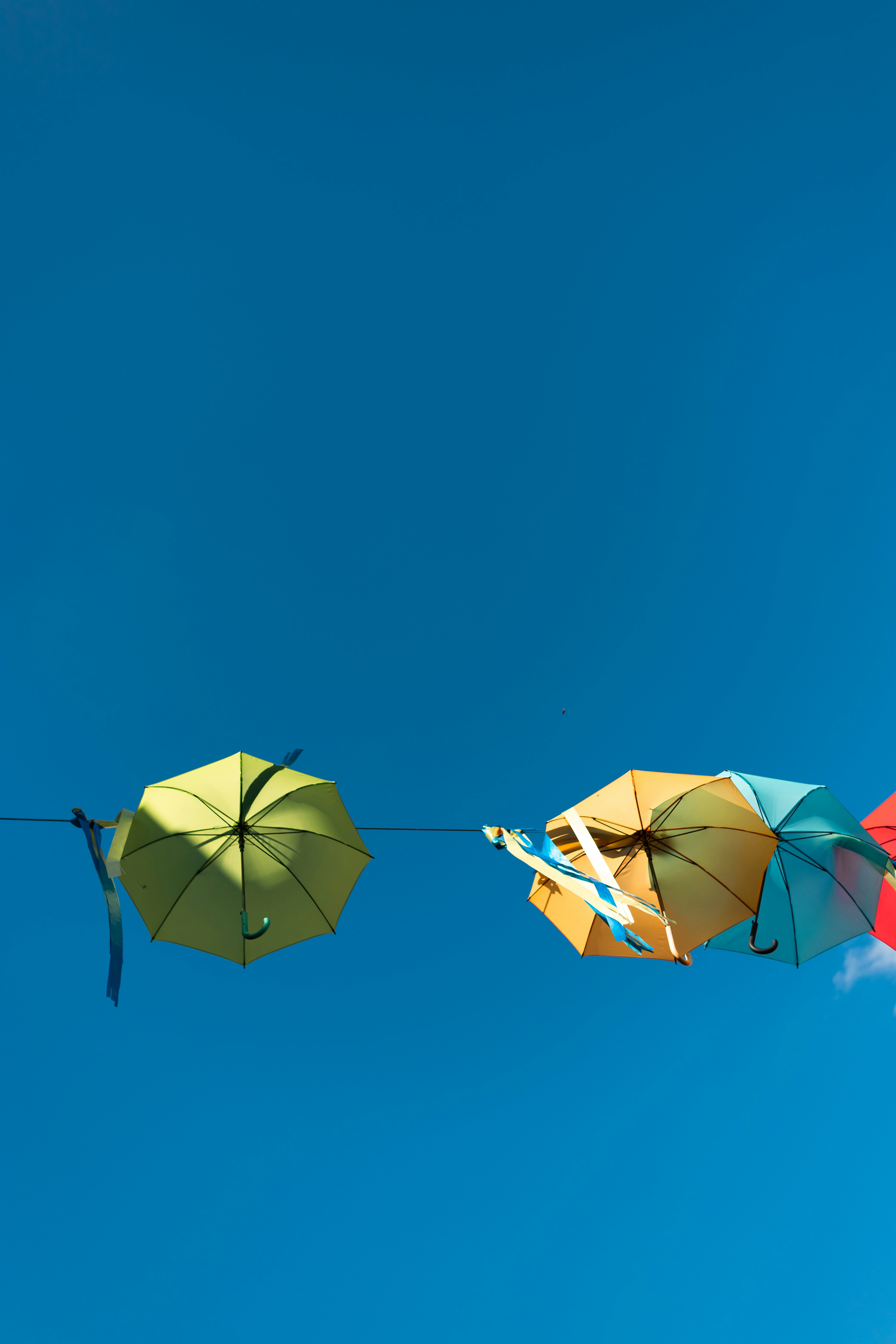 Illustration of Comparing Life Insurance Quotes