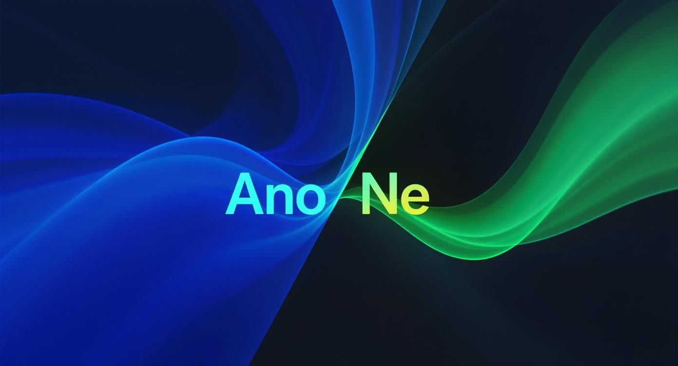 Infographic about programátor webových stránek