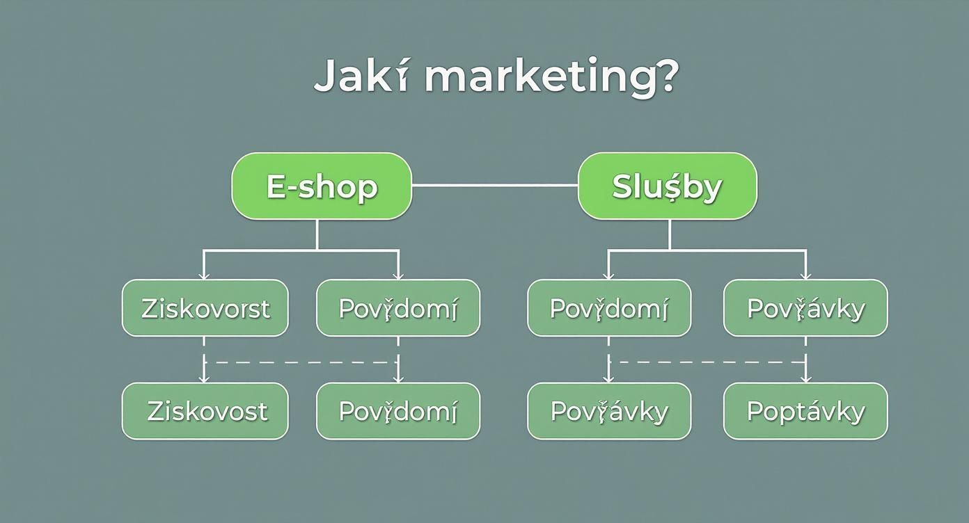 Infographic about specialista online marketingu