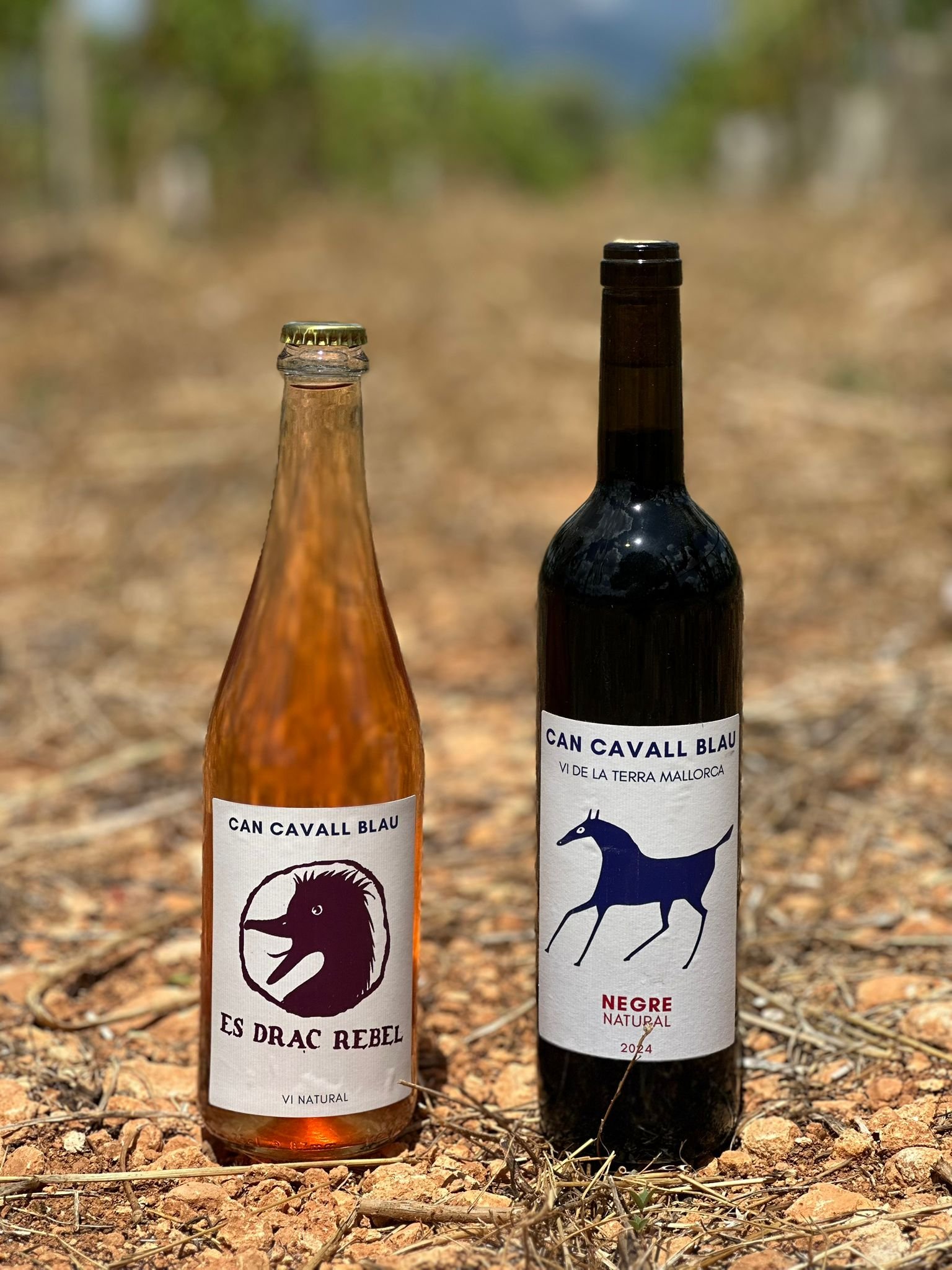 Can Cavall Blau natural wines and Amargéro bitter orange aperitif bottles