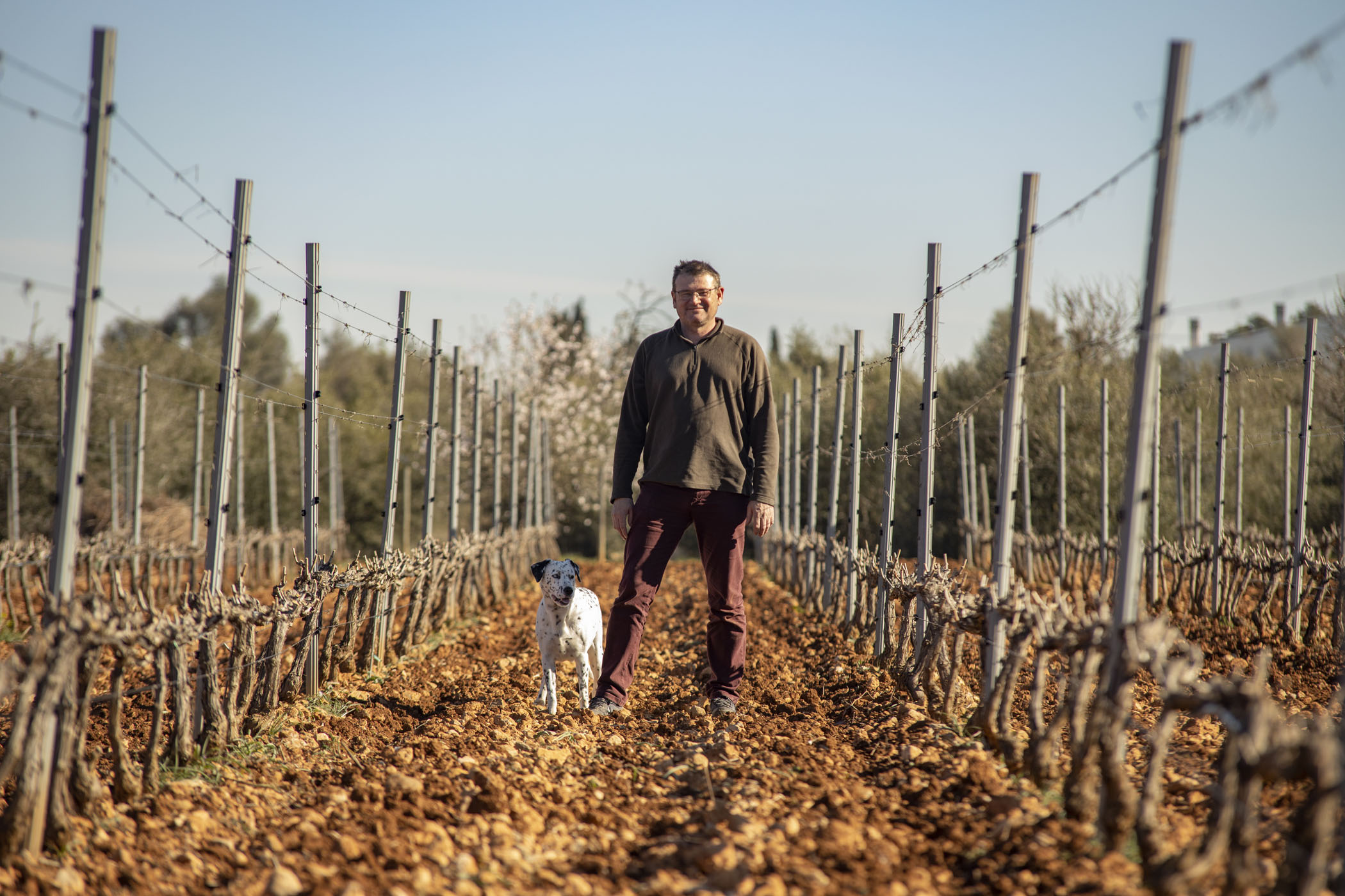 Vineyard and cellar landscape in the DO Binissalem region