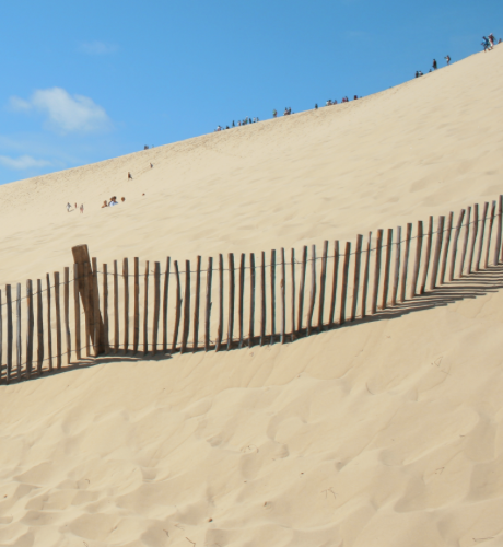 ganivelle, clôture plage, clôture bois