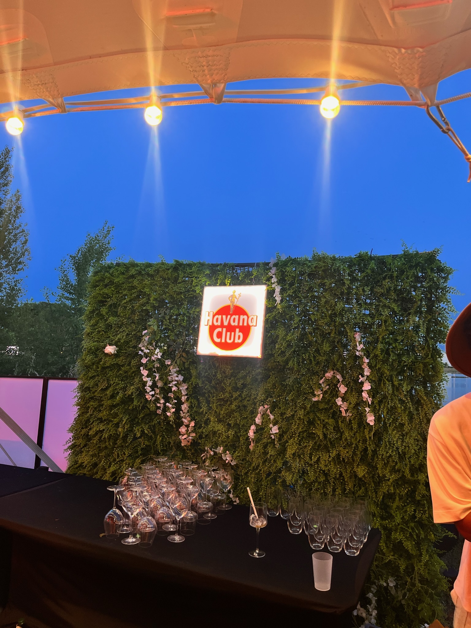 Mur végétal décoratif avec néon lumineux Havana Club, fond de bar tropical pour événements cubains ou soirées festives – location de décoration événementielle.