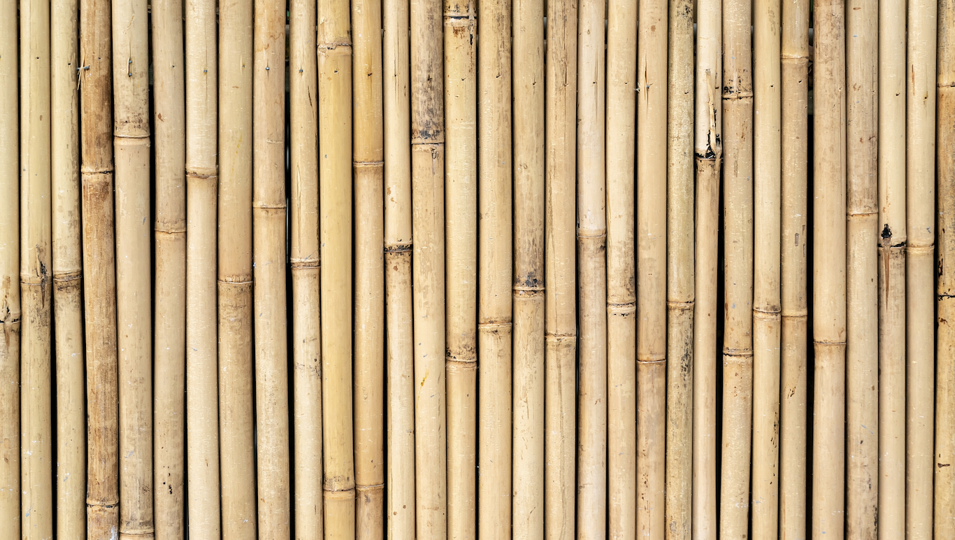 bambou décor événementiel 