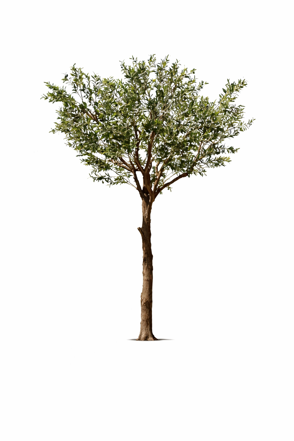 Olivier artificiel décoratif avec tronc réaliste et feuillage vert, utilisé comme élément de scénographie pour un événement.