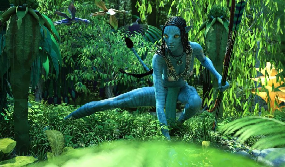 toile tendue pandora