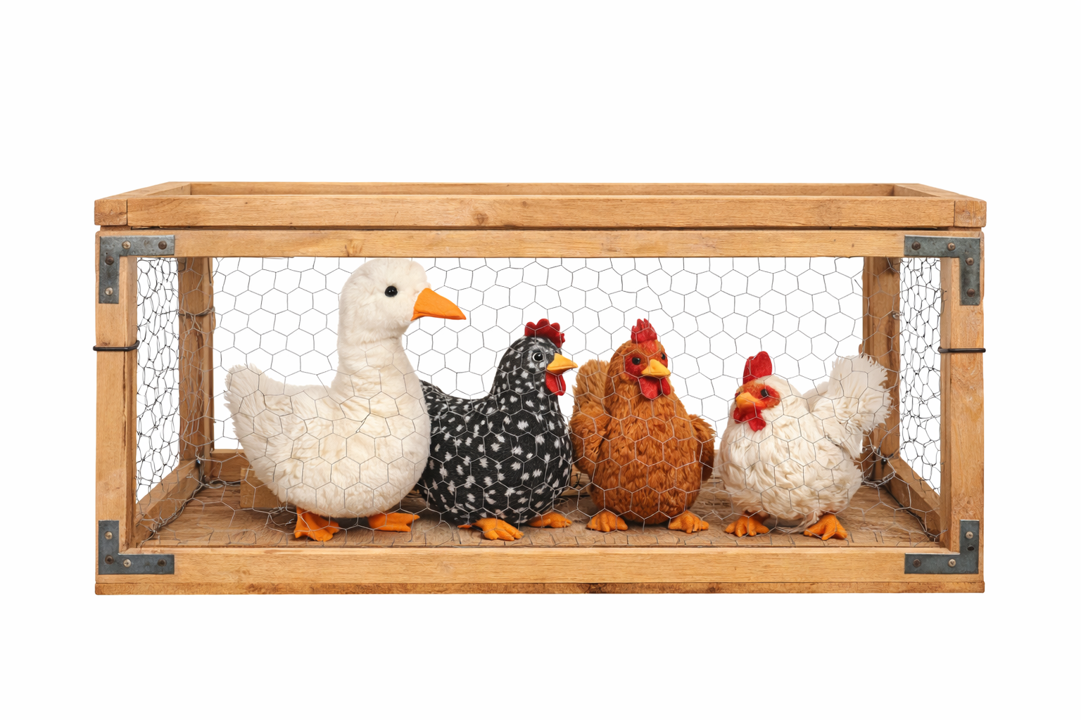 cage avec oies et poules, décoration médiévale à louer – Mon Décor à Louer