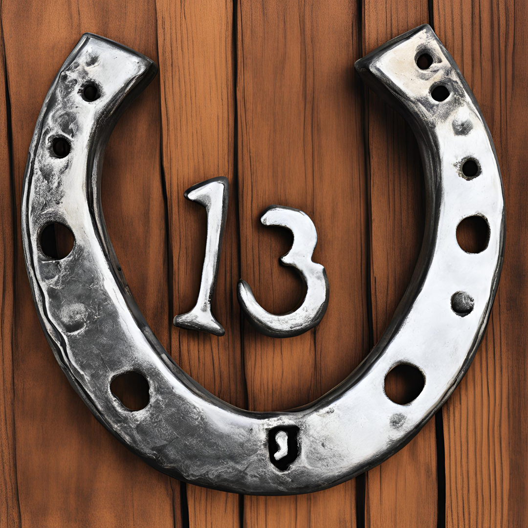 Toile tendue fer à cheval western décoration événementielle