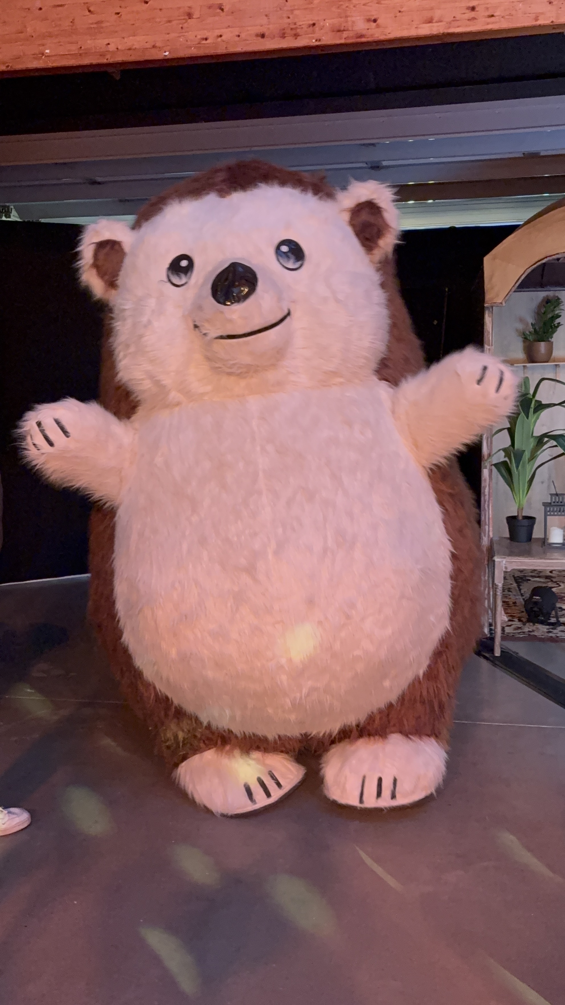 Mascotte hérisson géante pour animation événementielle