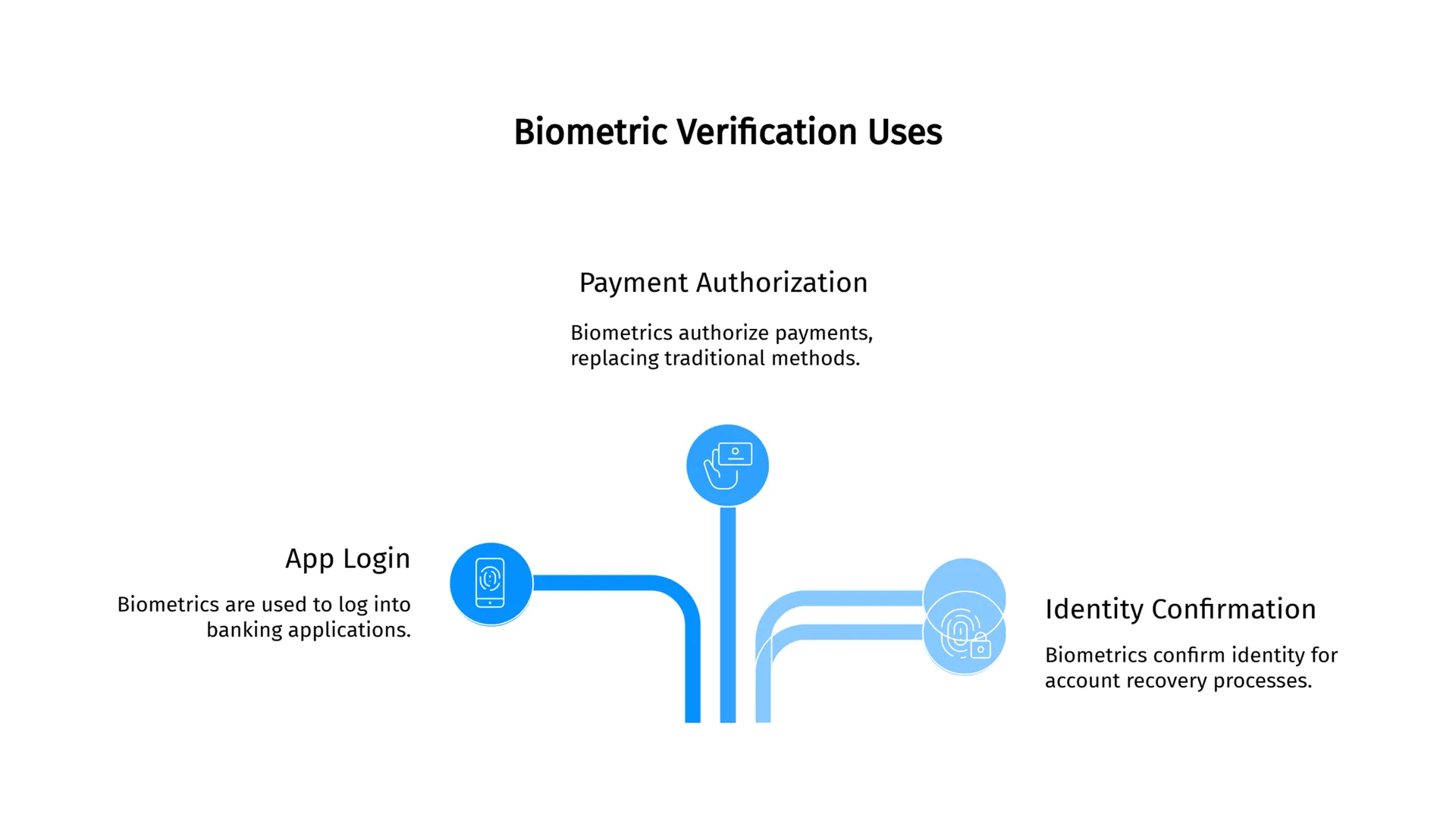 Diagram showing three key uses of biometric verification: payment authorization, app login, and identity confirmation.