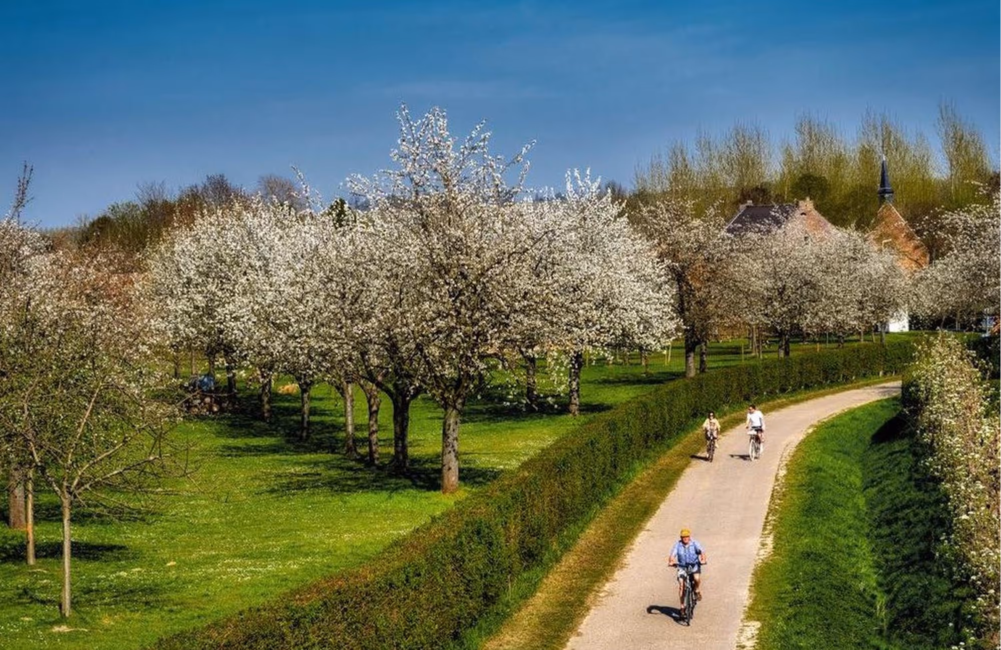 De Pastorie ligt in het hart van Haspengouw: tussen boomgaarden en wandelpaden, waar je vanzelf wat trager gaat.