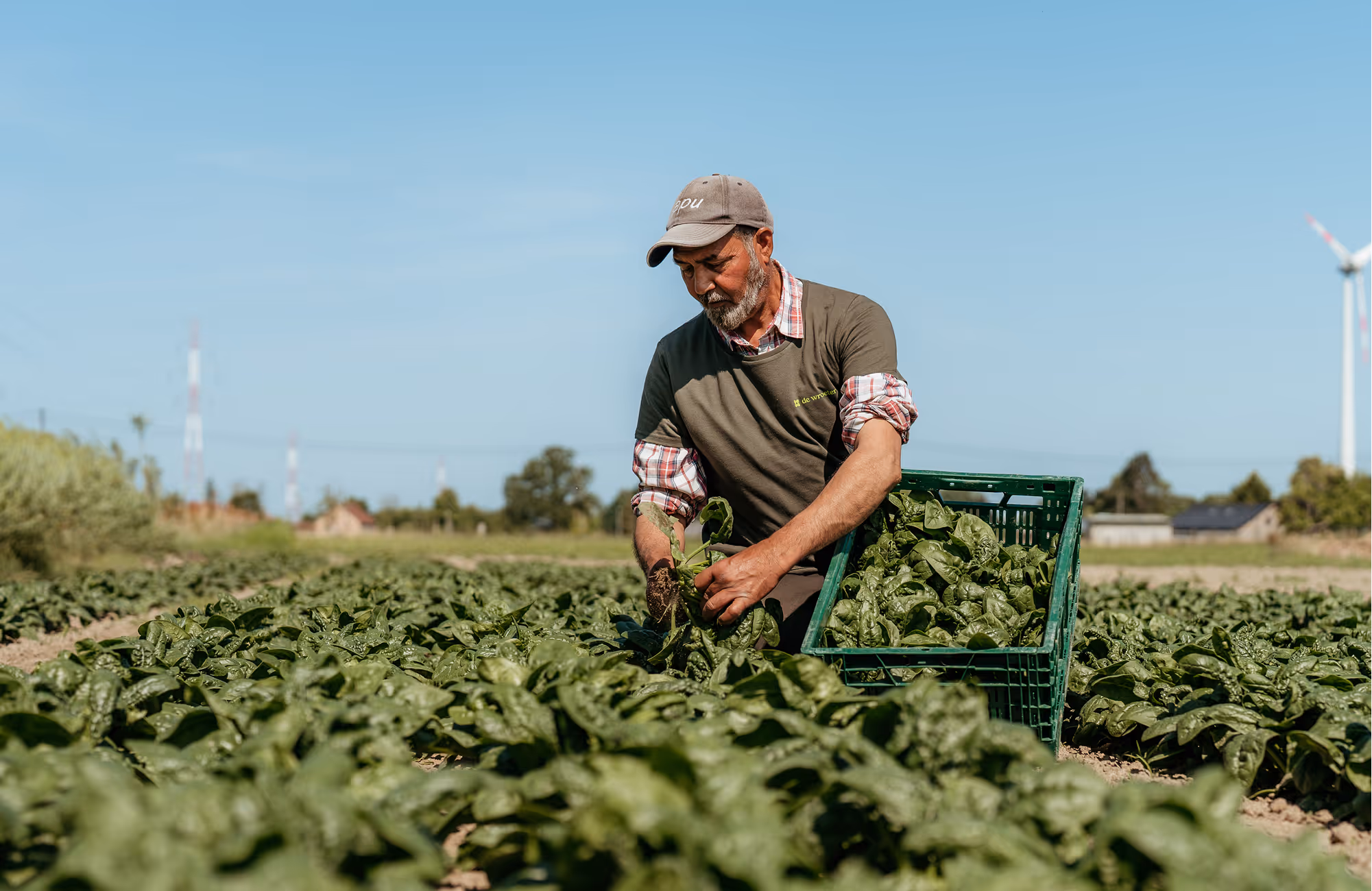 Met zorg geteeld, met talent geoogst. Zonder kunstmatige meststoffen of bestrijdingsmiddelen. 