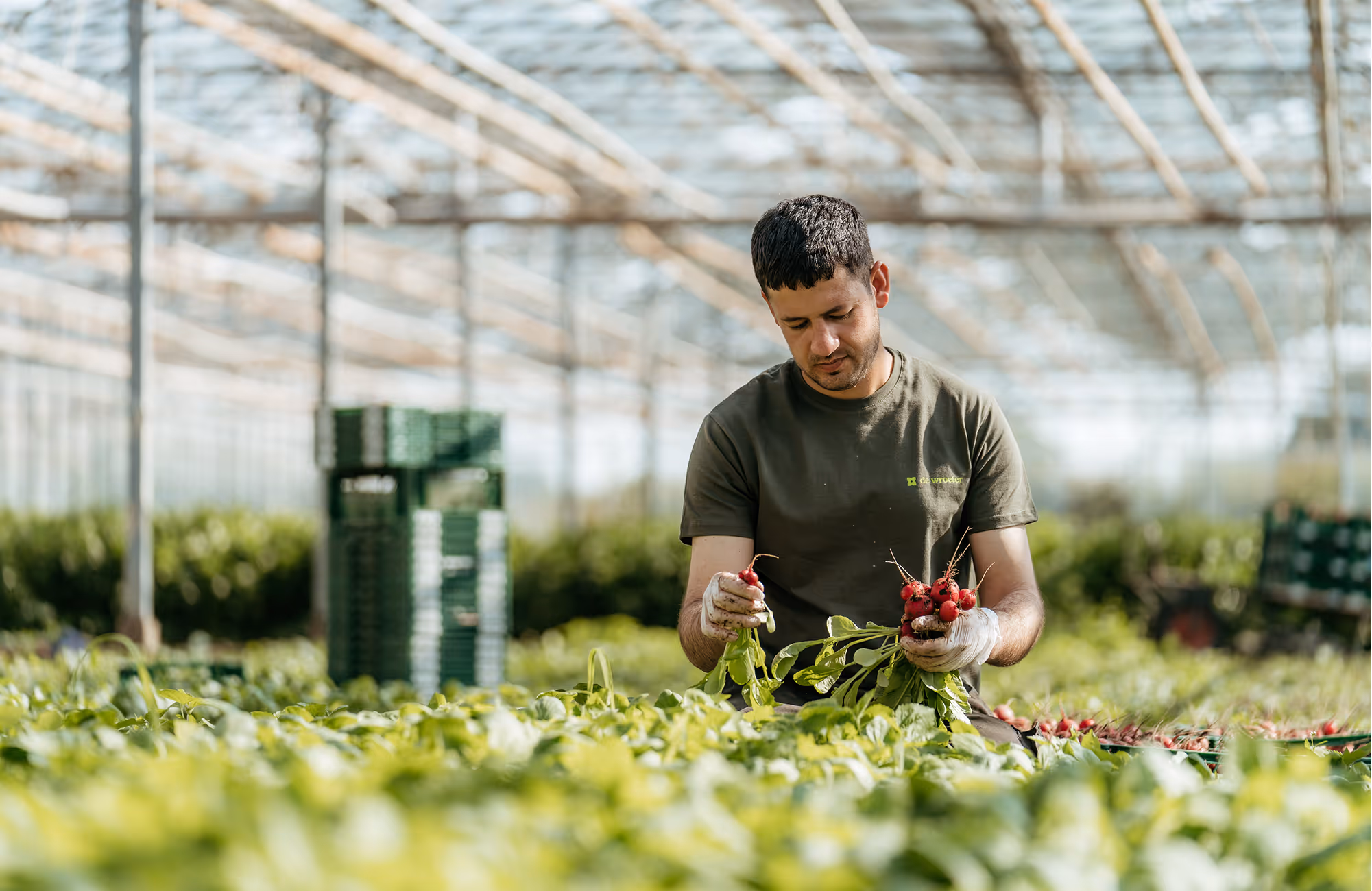 De Wroeter is een mensgerichte organisatie die nog elke dag bedrijven en consumenten verrast met de talenten van haar medewerkers.