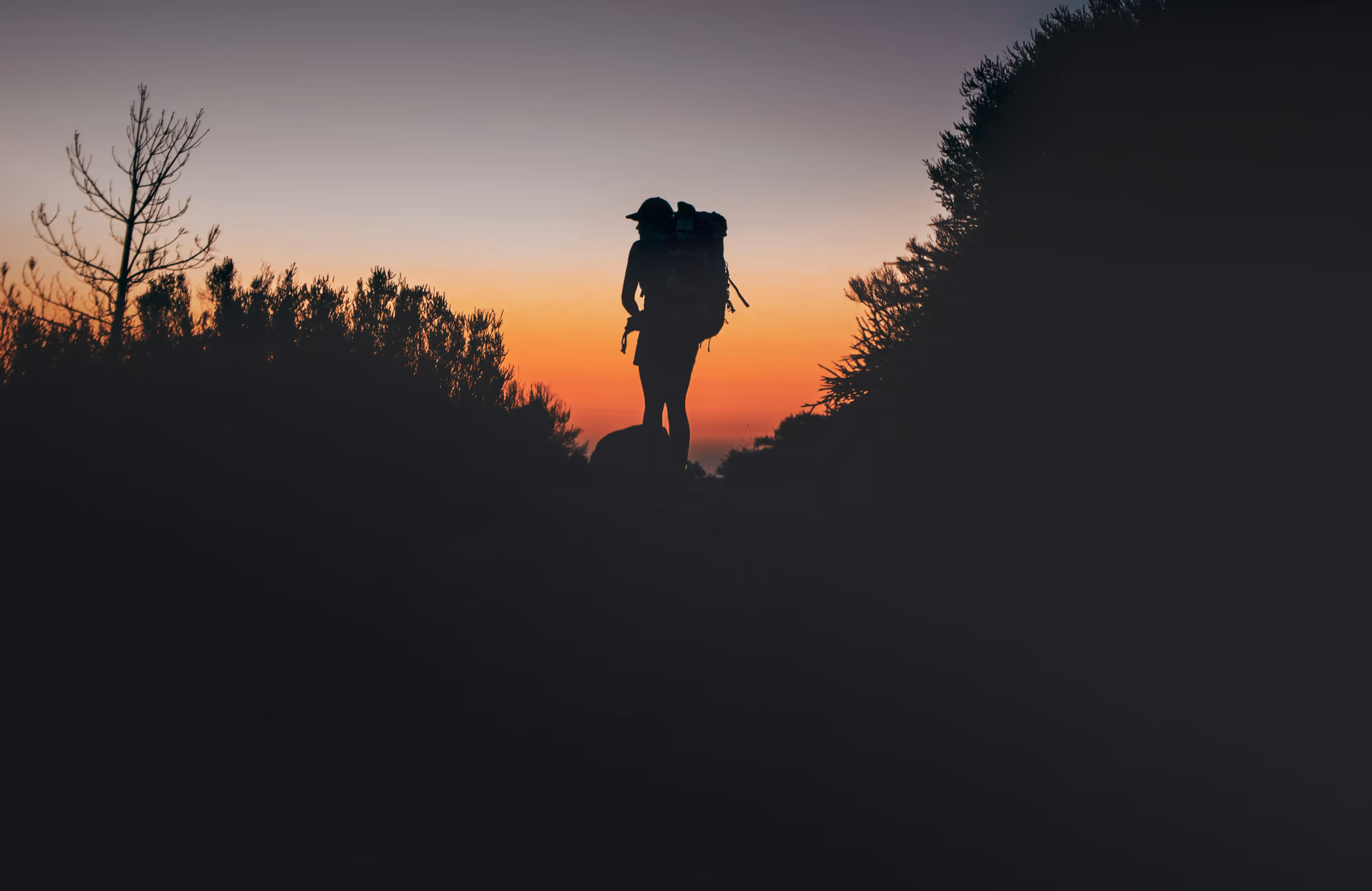 Wij willen vakantie voor  iedereen mogelijk maken.