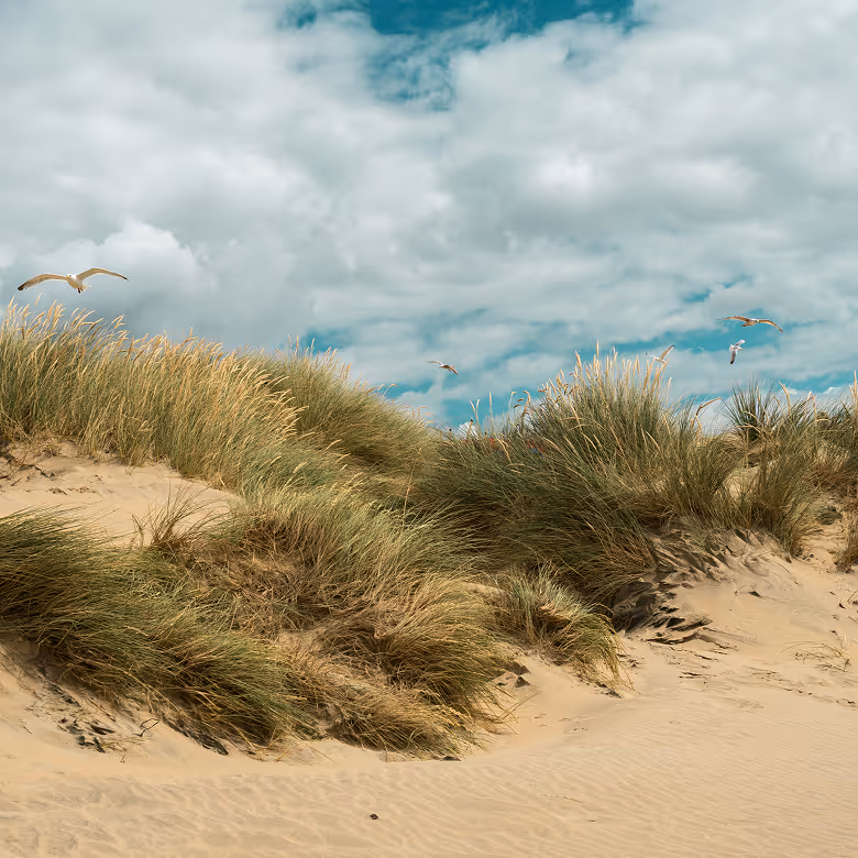 Actief voor volwassenen Van maandag 6 t.e.m. vrijdag 10 juli 2026 Koksijde (België)