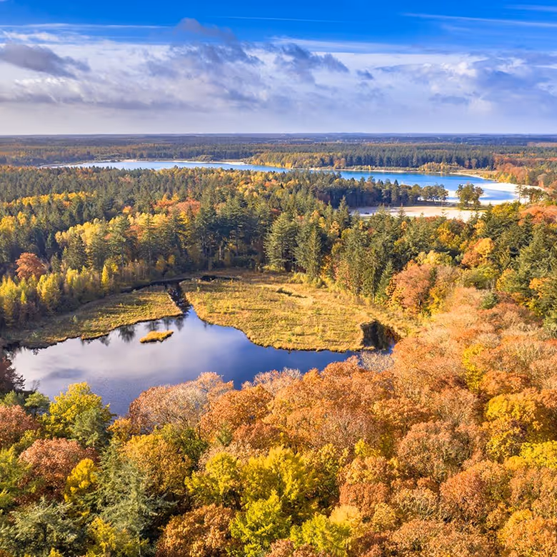 Actief voor volwassenen Van vrijdag 12 t.e.m. vrijdag 19 juni 2026 Gasselternijveen (Nederland)