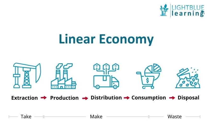 Linear Economy Extraction Production Distribution Consumption Disposal