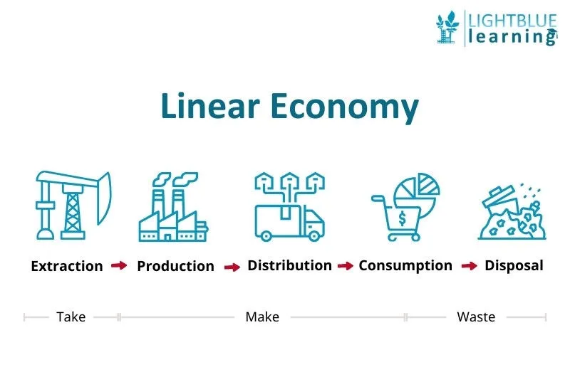 Linear Economy Extraction Production Distribution Consumption Disposal