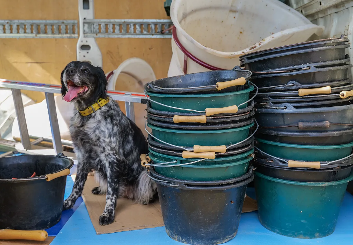 A dog sitting next to a pile of pots and pans.