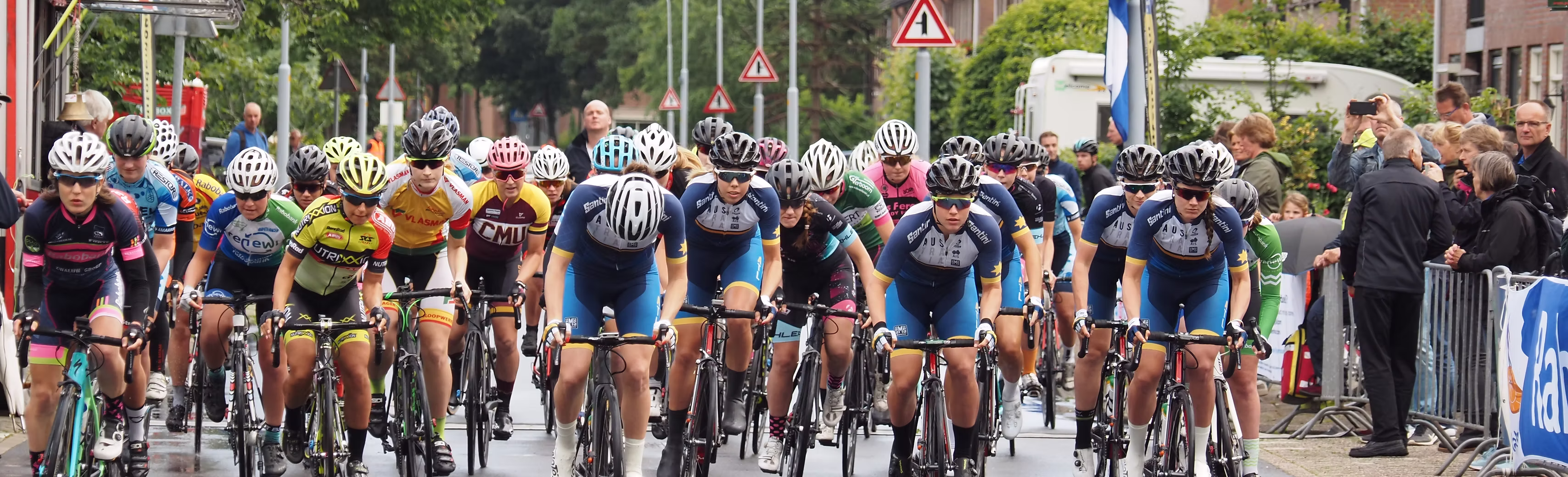 Stichting Dorpsfeest Rijsenhout